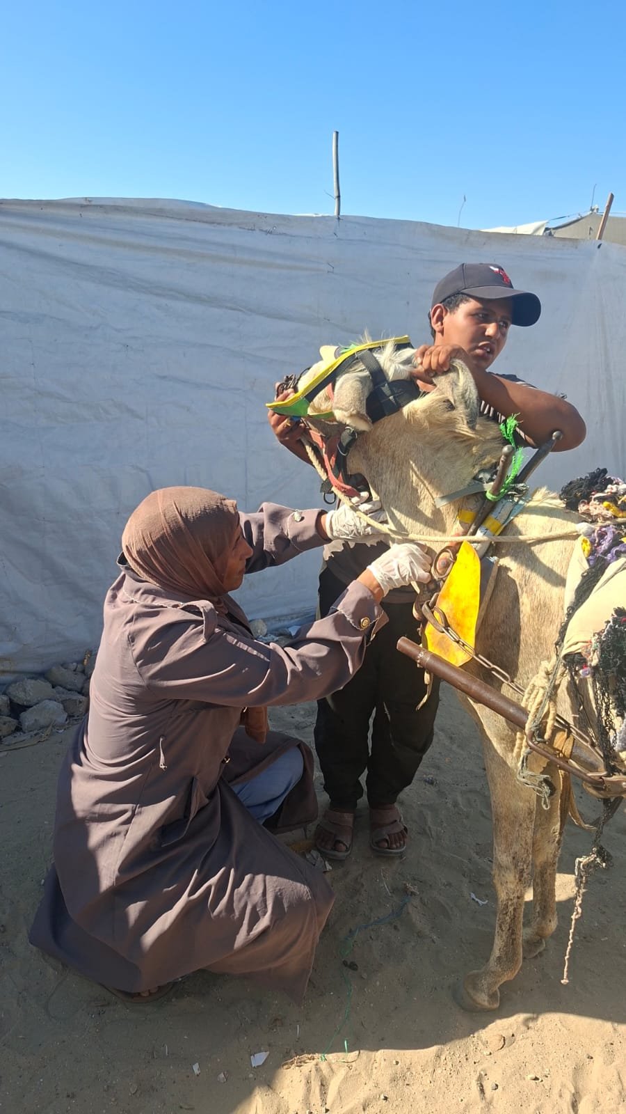 Mutual Aid in Gaza – by women for women campaign photo, 7 of 8