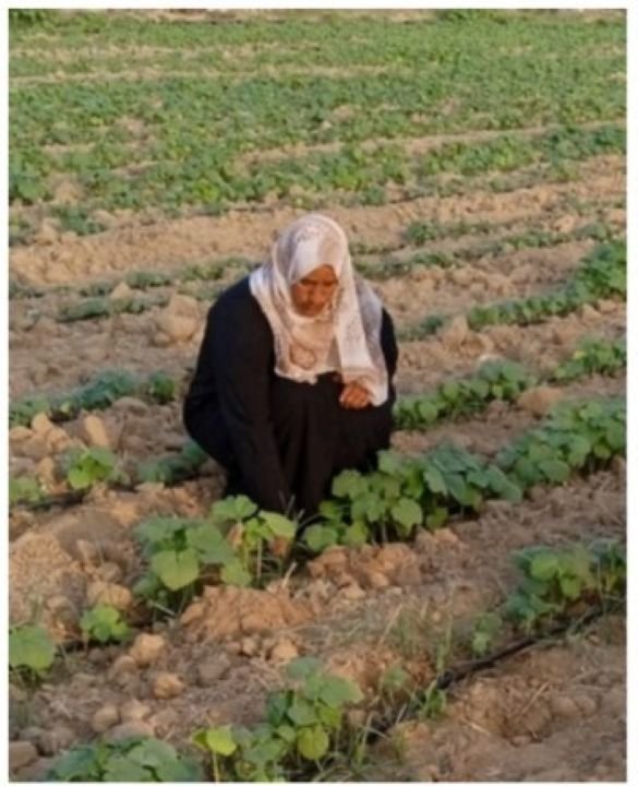 Mutual Aid in Gaza – by women for women campaign photo, 5 of 8