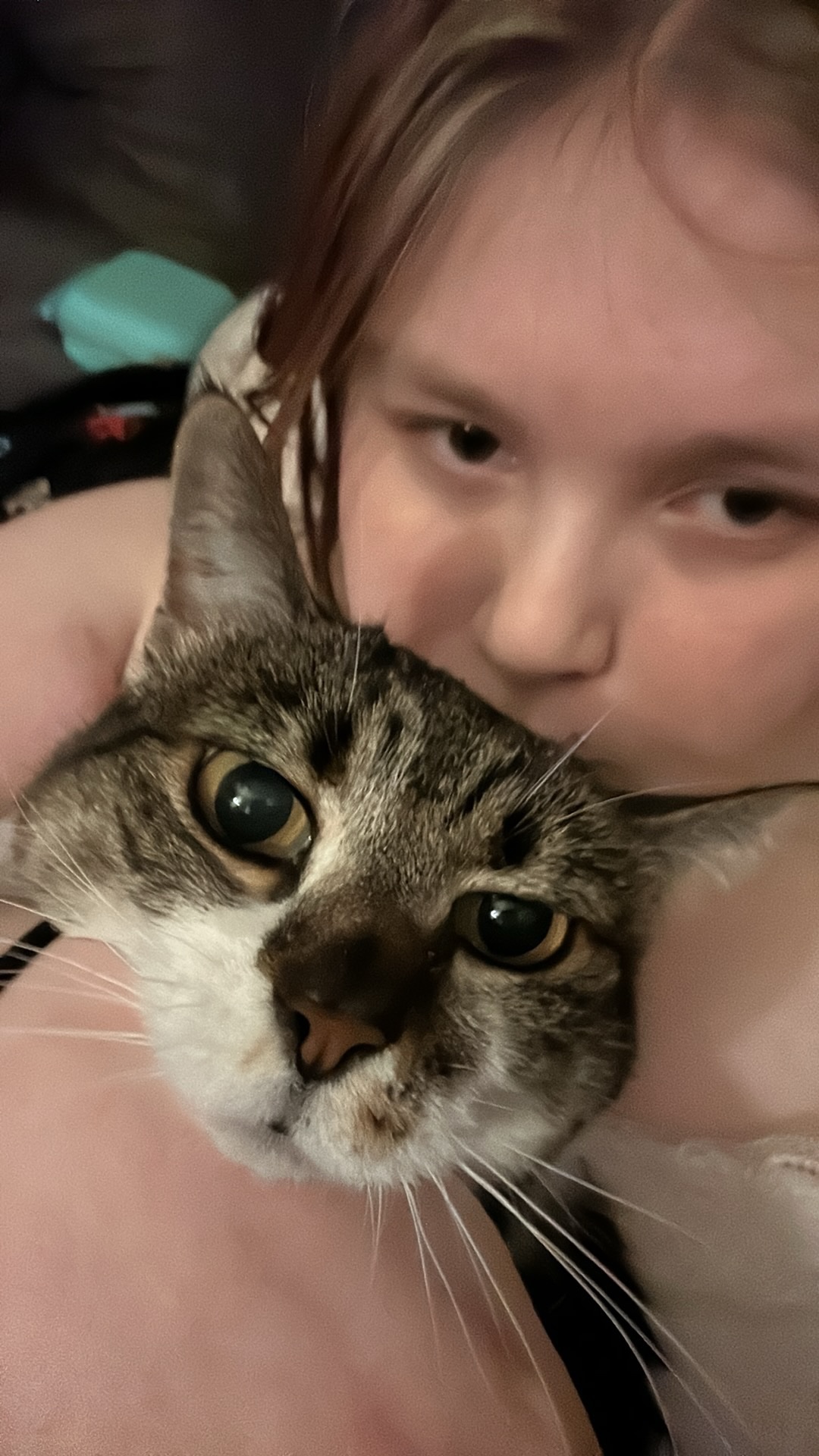 Help Cassandra Get Her Cat to the Vet campaign photo, 7 of 8