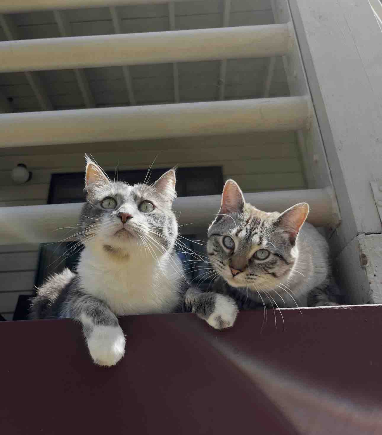 Help Reyna and Ben Rebuild After Apartment Fire campaign photo, 4 of 13