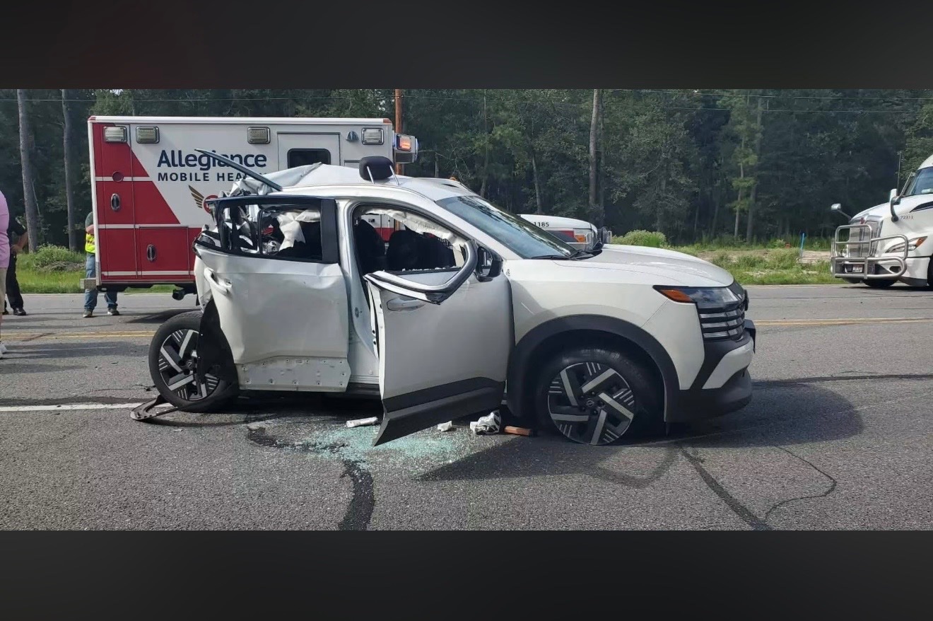 Help Scarlett & Ember Recover After Accident campaign photo, 5 of 6