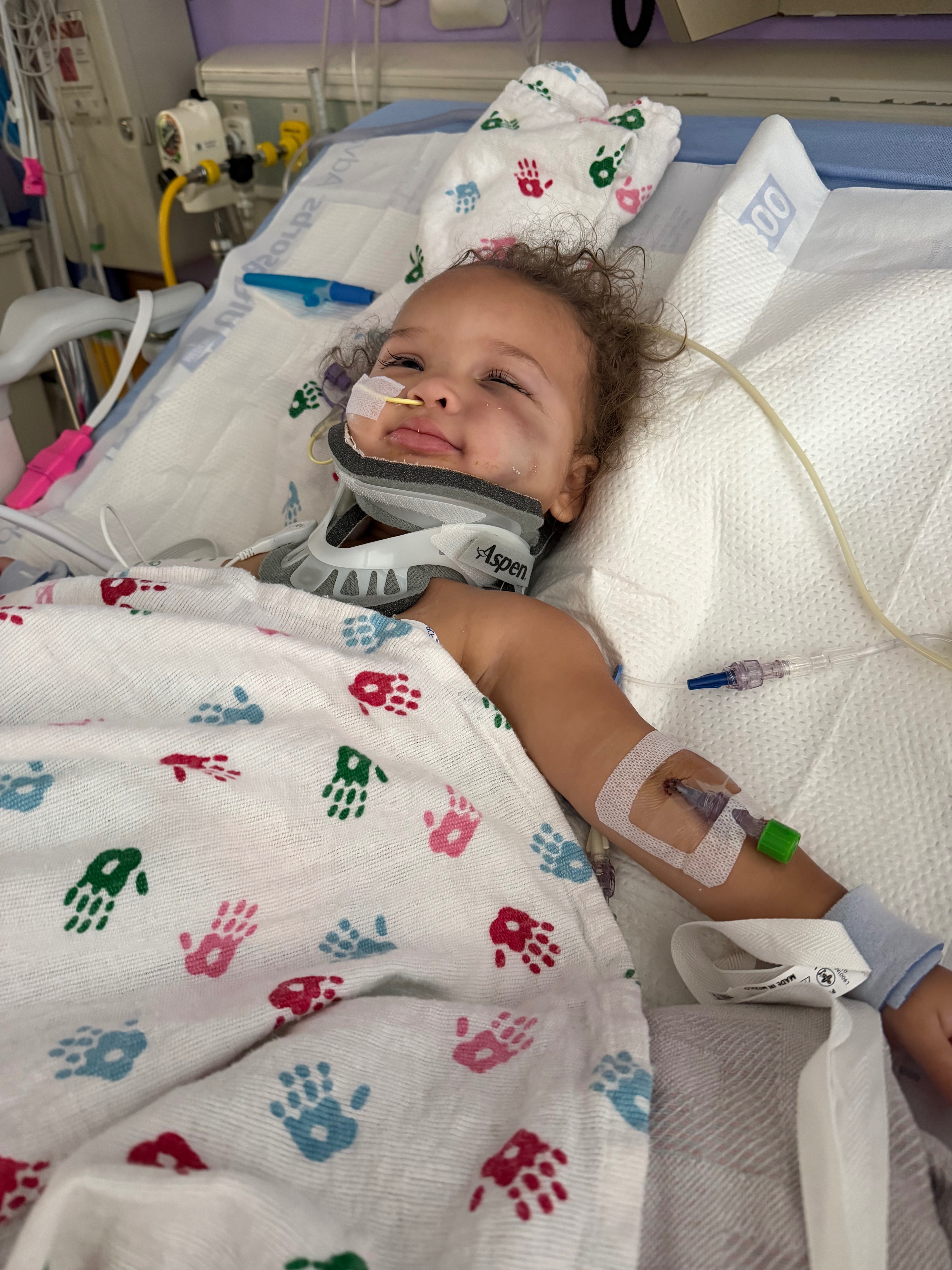 Help Scarlett & Ember Recover After Accident campaign photo, 4 of 6