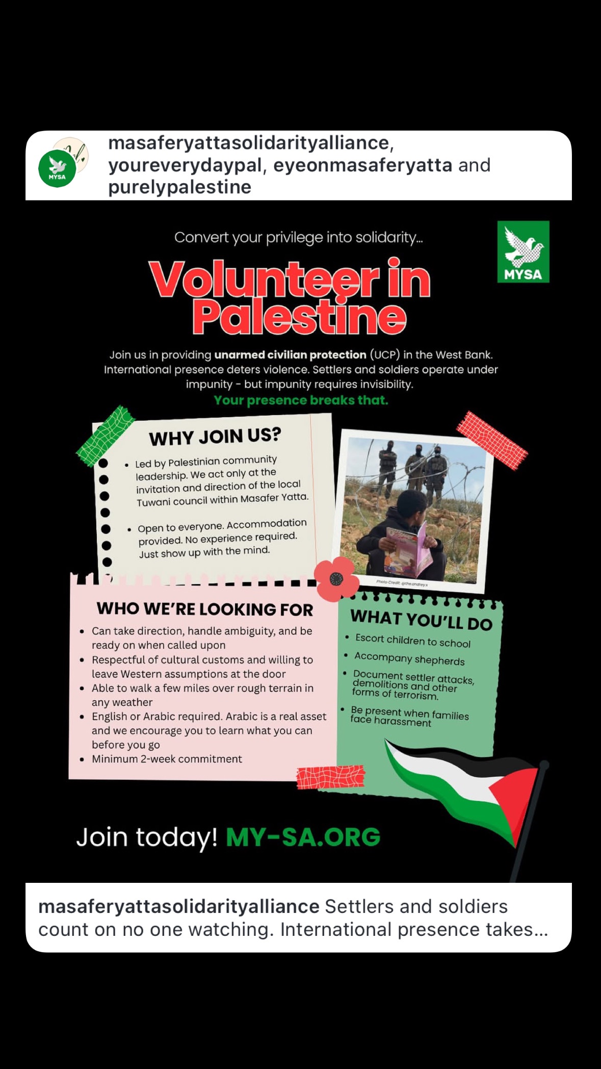 Help Me Make it to West Bank for Olive Harvest campaign photo, 10 of 11