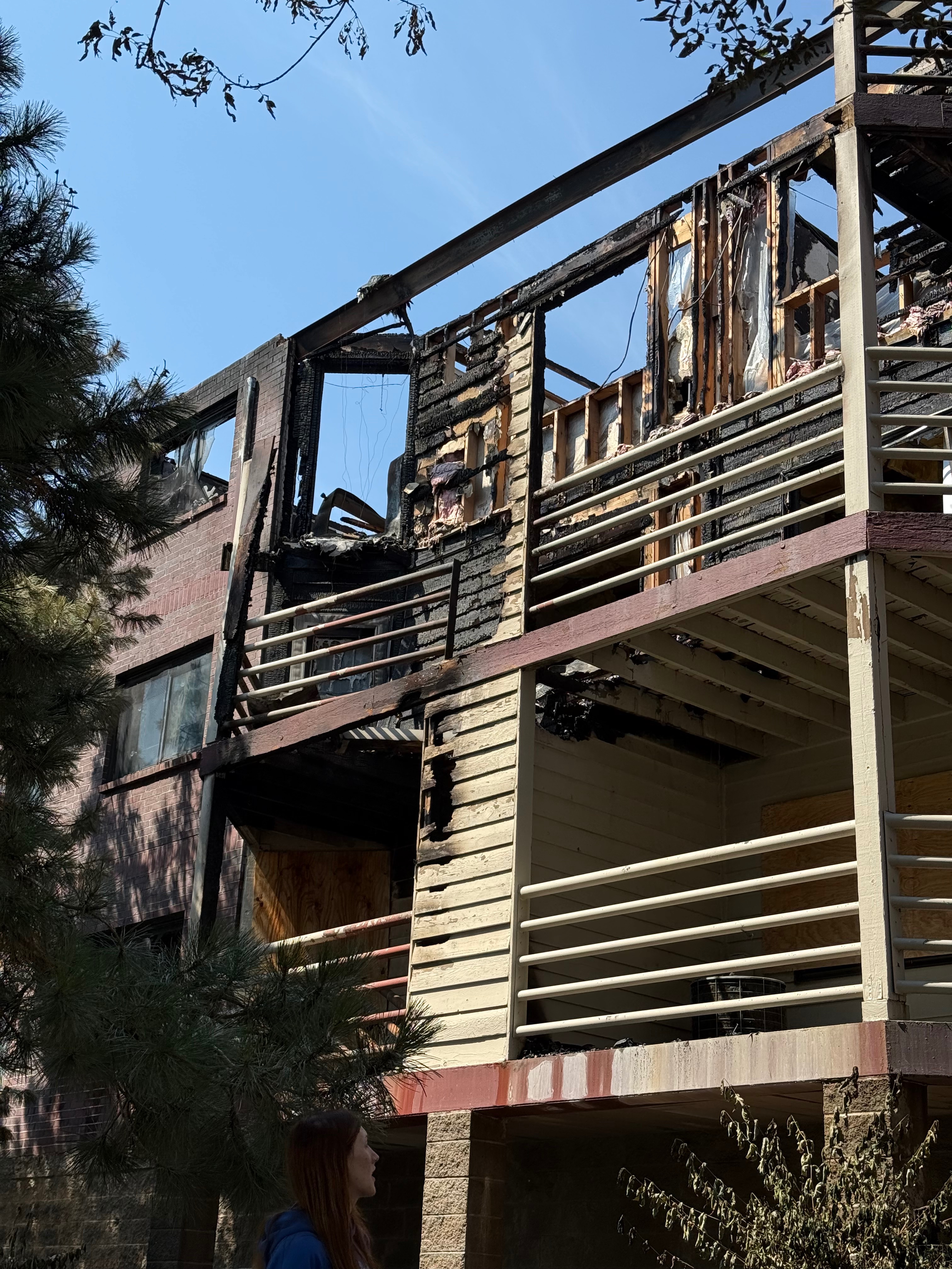 Help Alaina & Macaroni Rebuild after Helix Apartments Fire campaign photo, 2 of 8