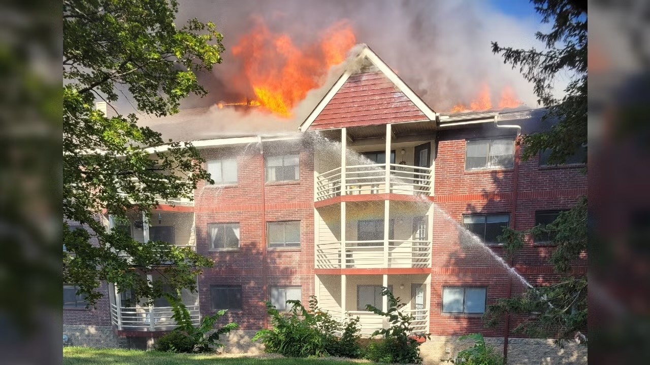 Help Alaina & Macaroni Rebuild after Helix Apartments Fire campaign photo, 6 of 8