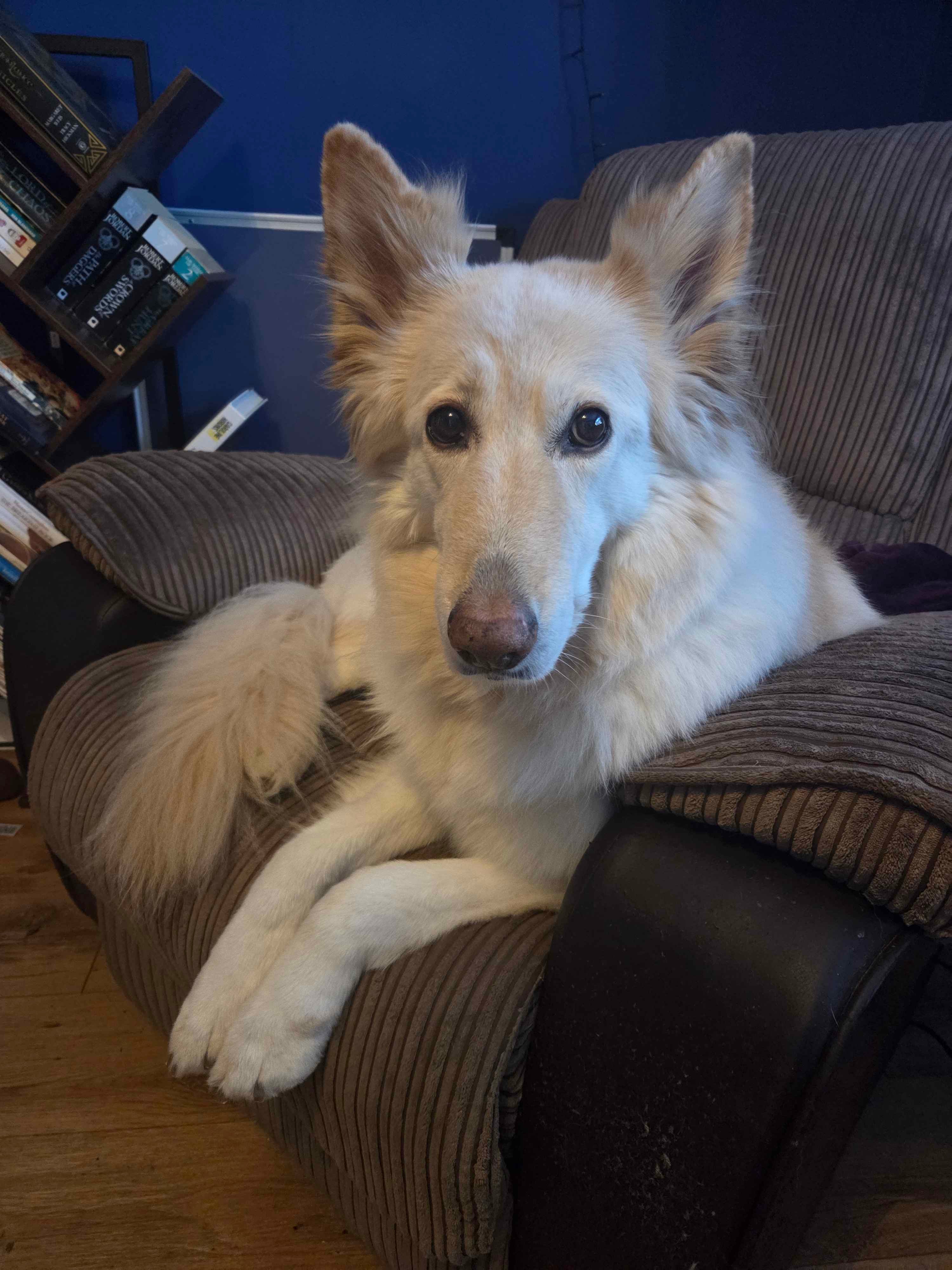 Help Ease the Financial Burden of Yara's Cancer Battle campaign photo, 4 of 5