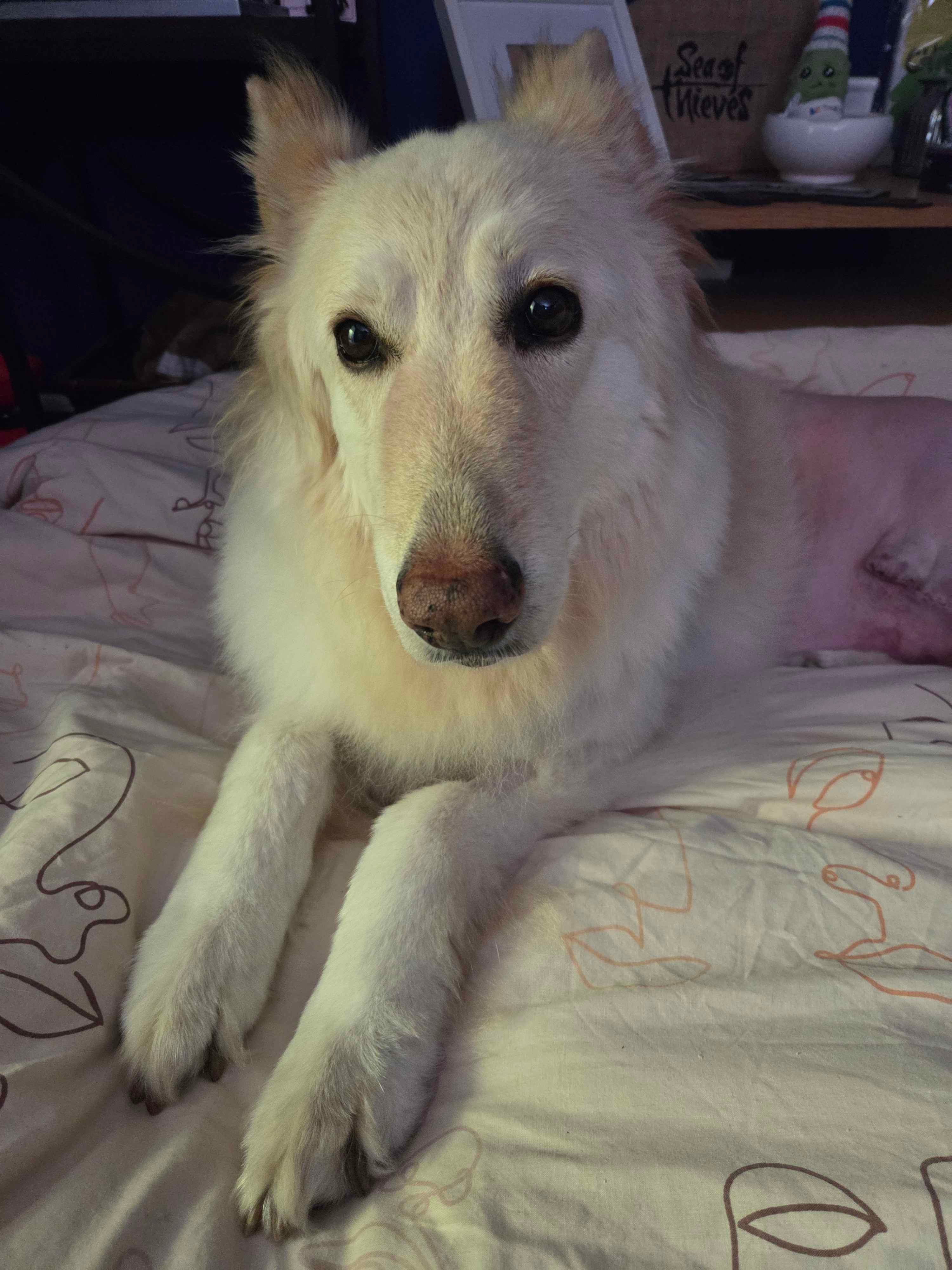Help Ease the Financial Burden of Yara's Cancer Battle campaign photo, 2 of 5