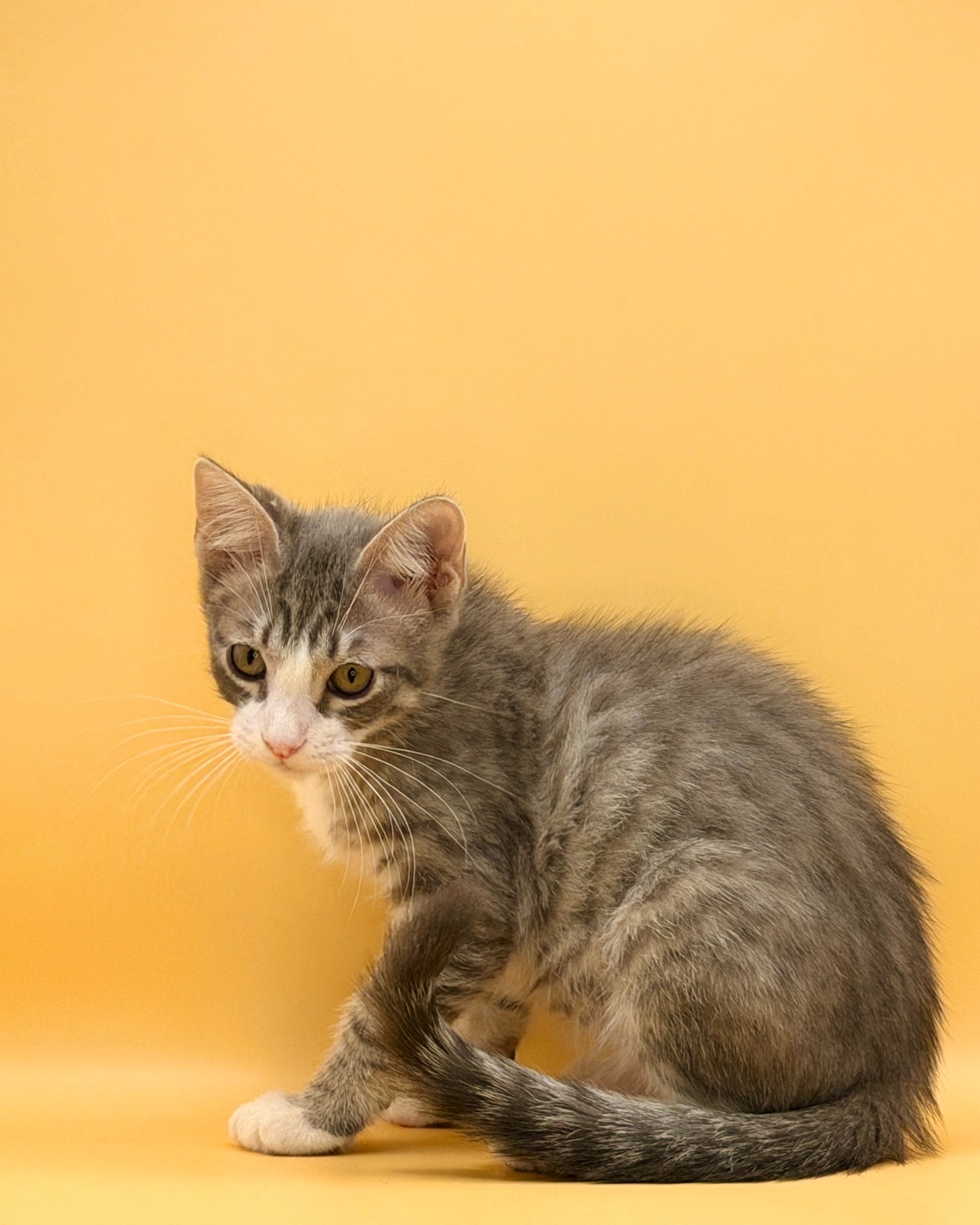 Help Orion Start His Next Chapter campaign photo, 6 of 7