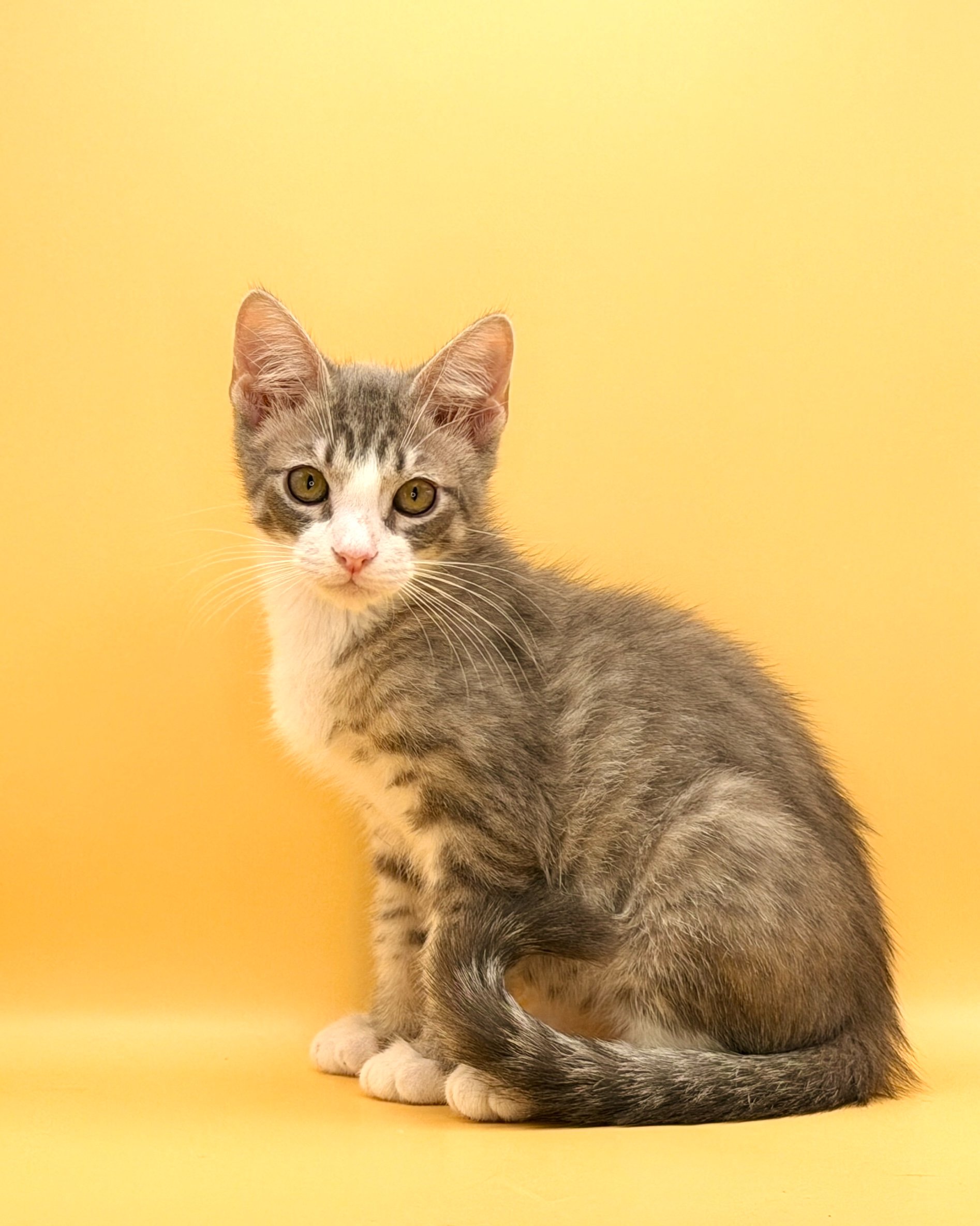 Help Orion Start His Next Chapter campaign photo, 2 of 7