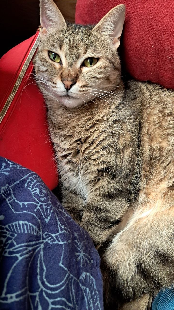 Eli's FIP Treatment Fund campaign photo, 6 of 8