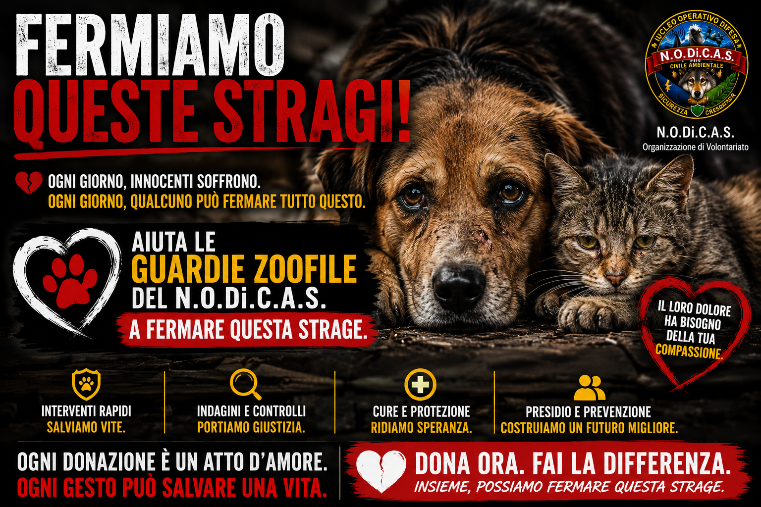 Aiutaci a salvaguardare il benessere animale! campaign photo, 2 of 5