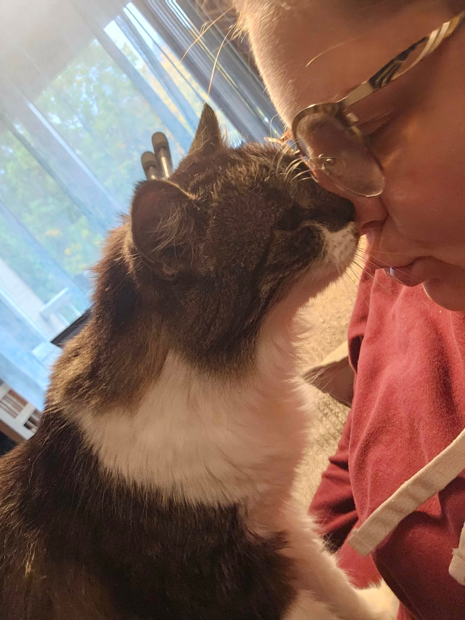 Help Us Honor Rosie and Cover Memorial Expenses campaign photo, 2 of 8