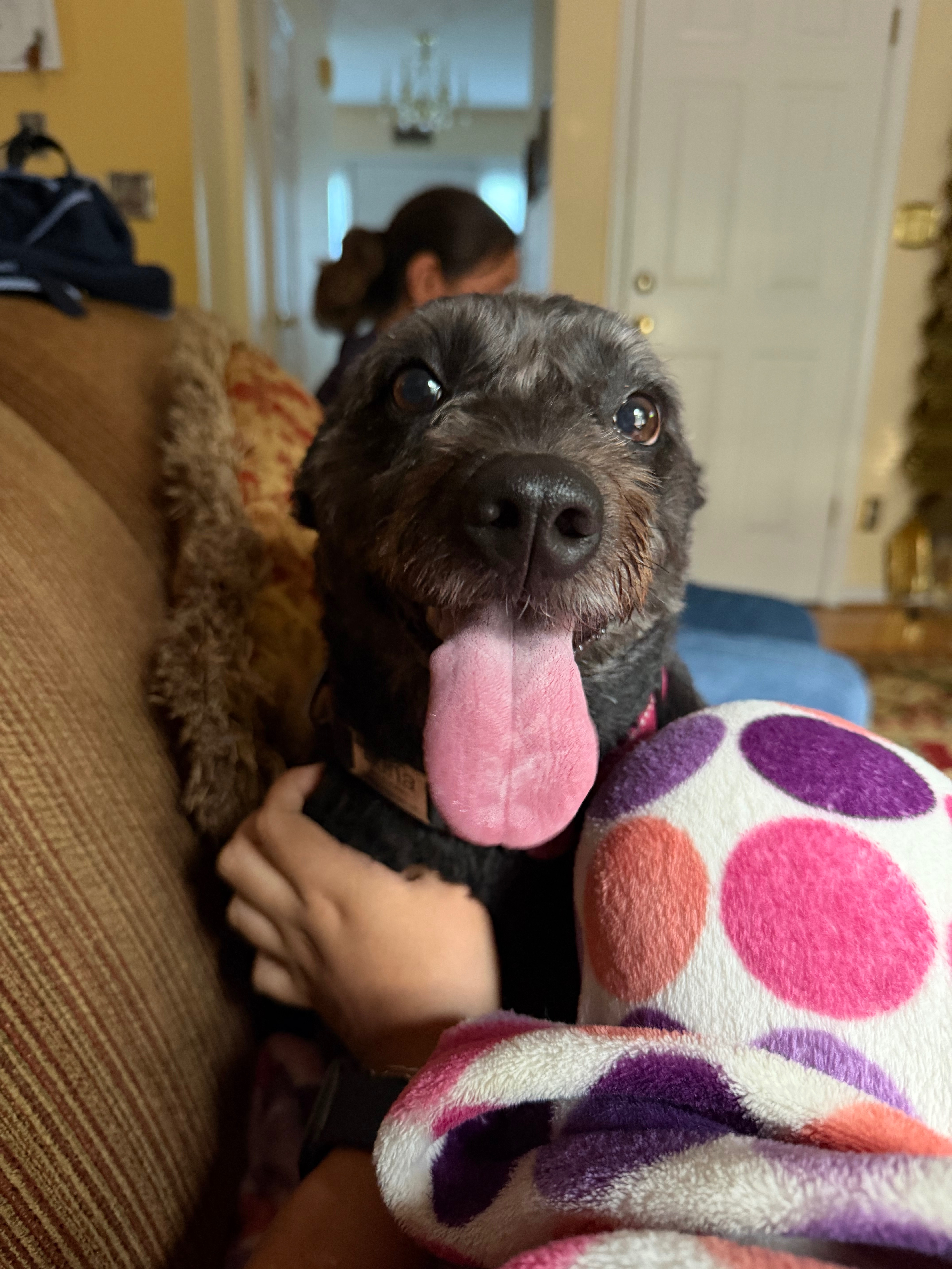 Fundraiser by Emily Luna : Help Save Our Sweet Luna