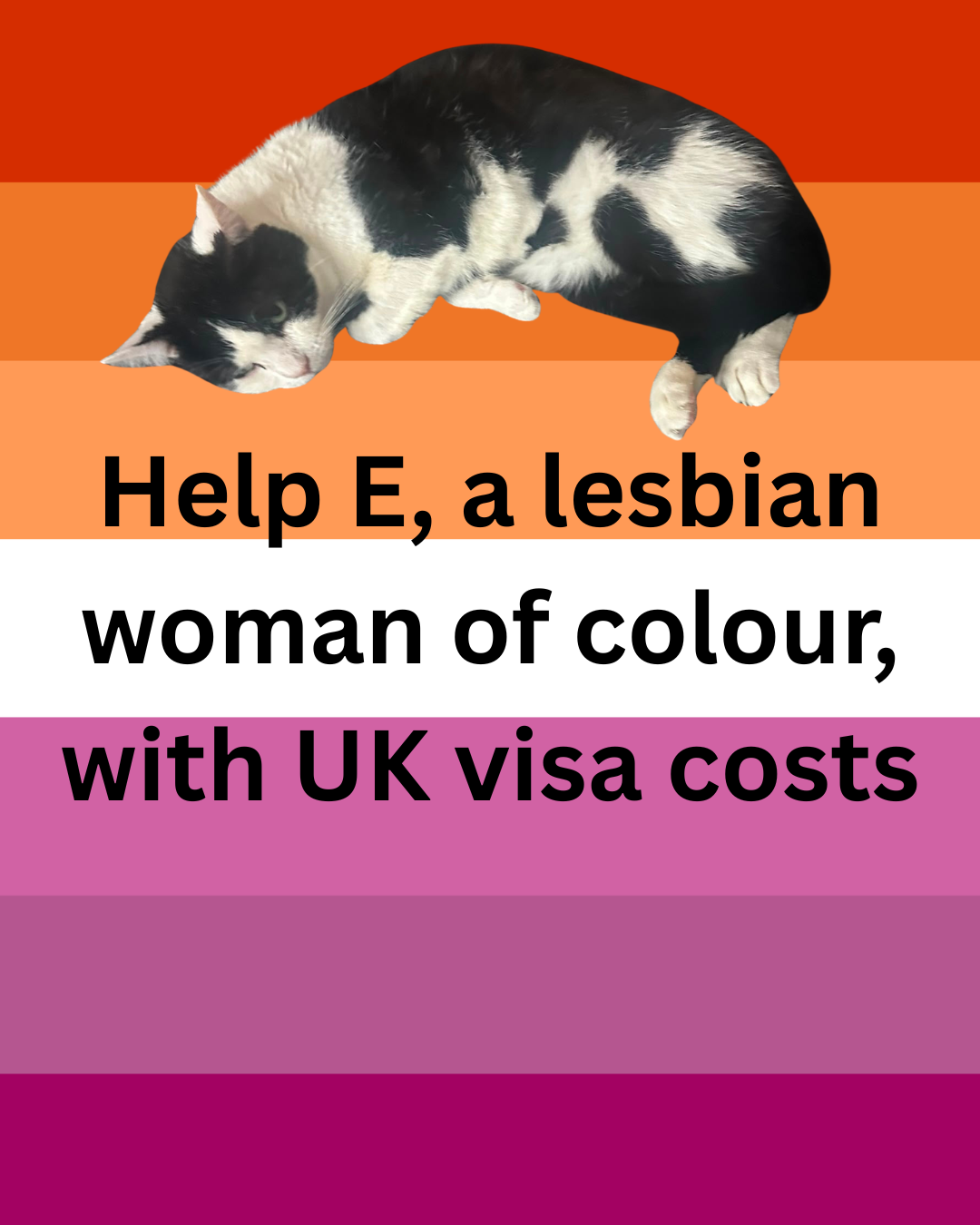 Help E, a lesbian woman of colour, with UK visa costs campaign photo, 2 of 4