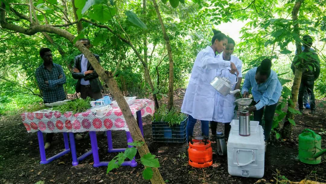 Photo de la campagne Help Save Tree of Life Eco-Farm & Camp, 7 sur 11