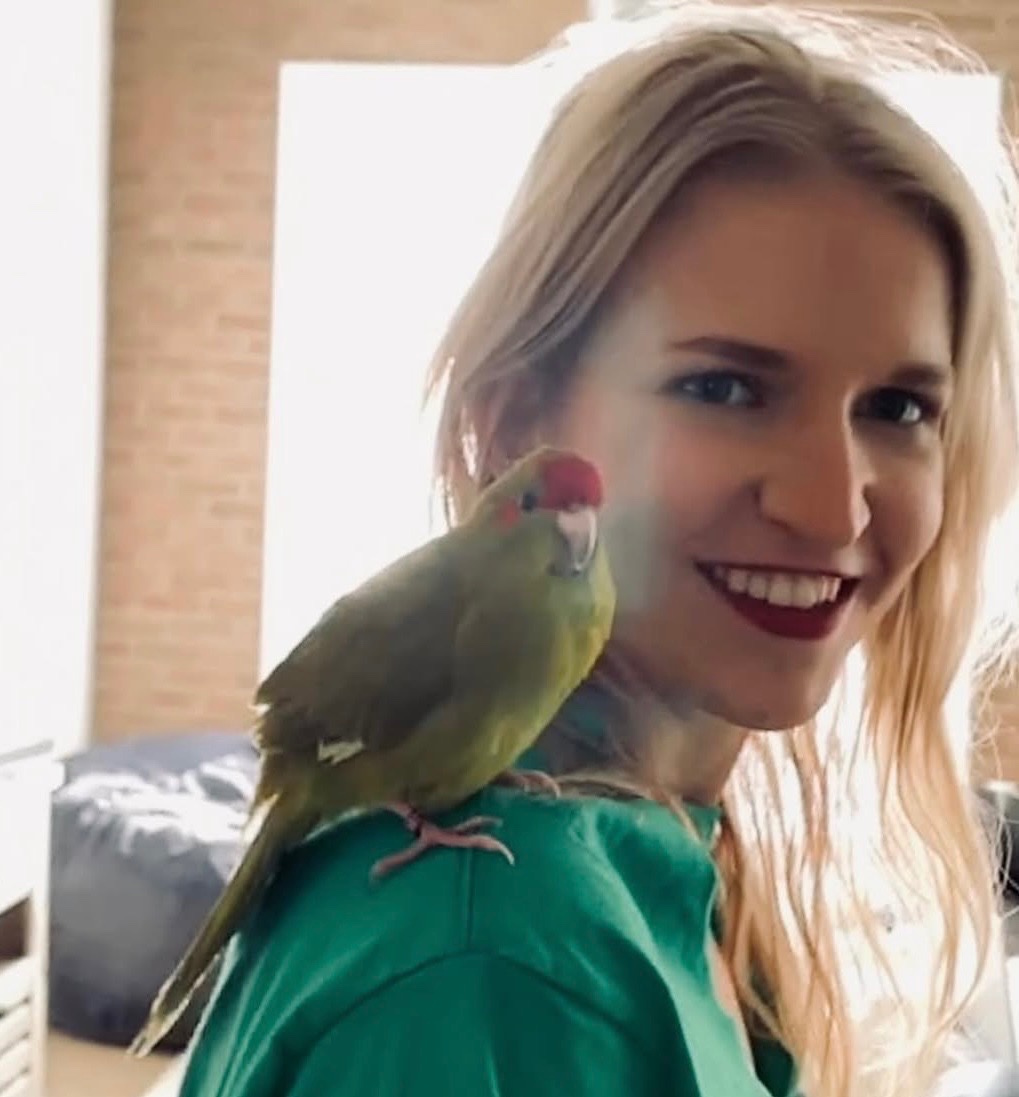 Help Vlad the Kakariki Parrot Get Surgery campaign photo, 2 of 7