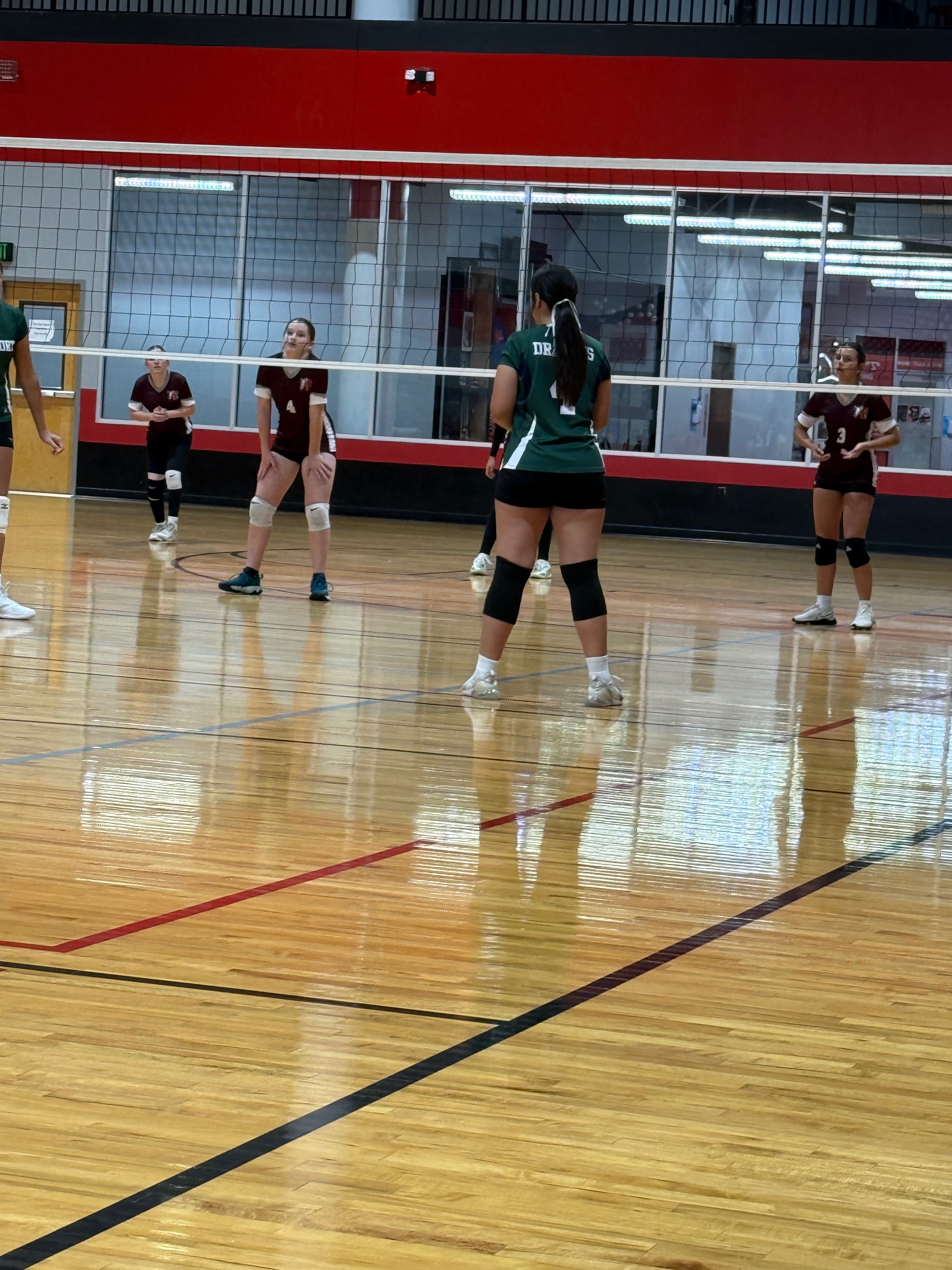 Help Alina Shine on the Volleyball Court campaign photo, 2 of 8