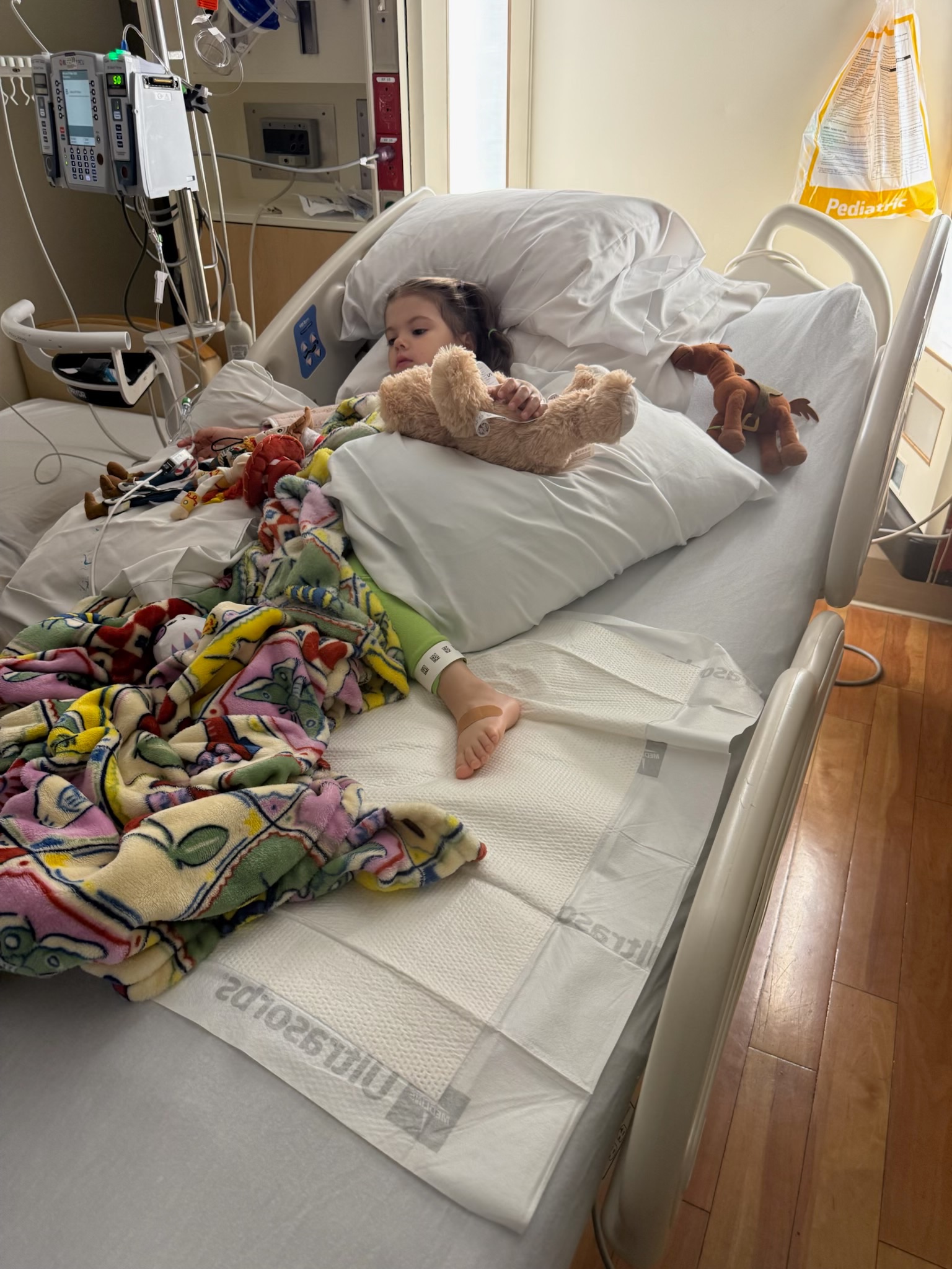 Help Addy Recover After Rattlesnake Bite campaign photo, 7 of 8