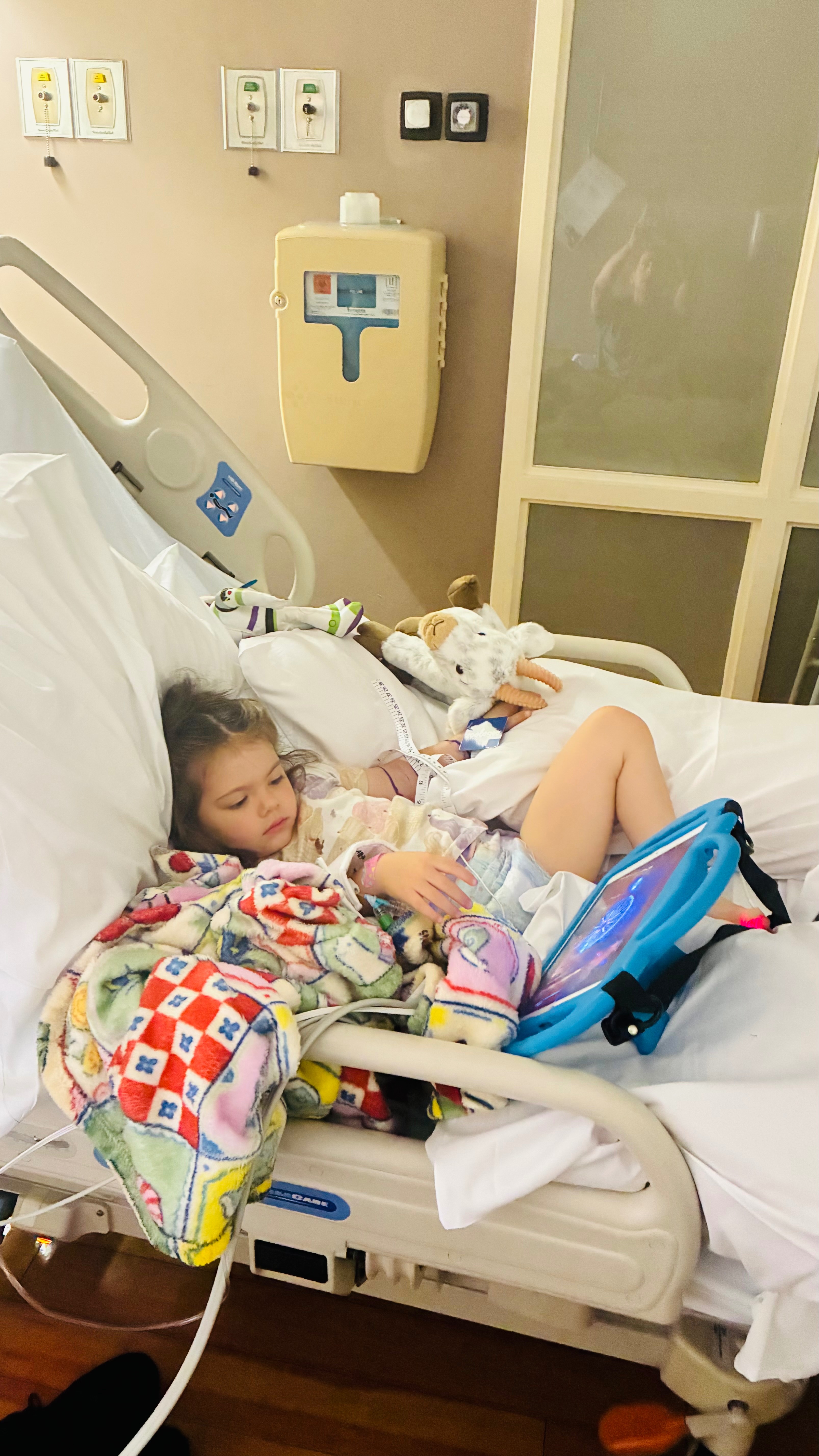 Help Addy Recover After Rattlesnake Bite campaign photo, 2 of 8