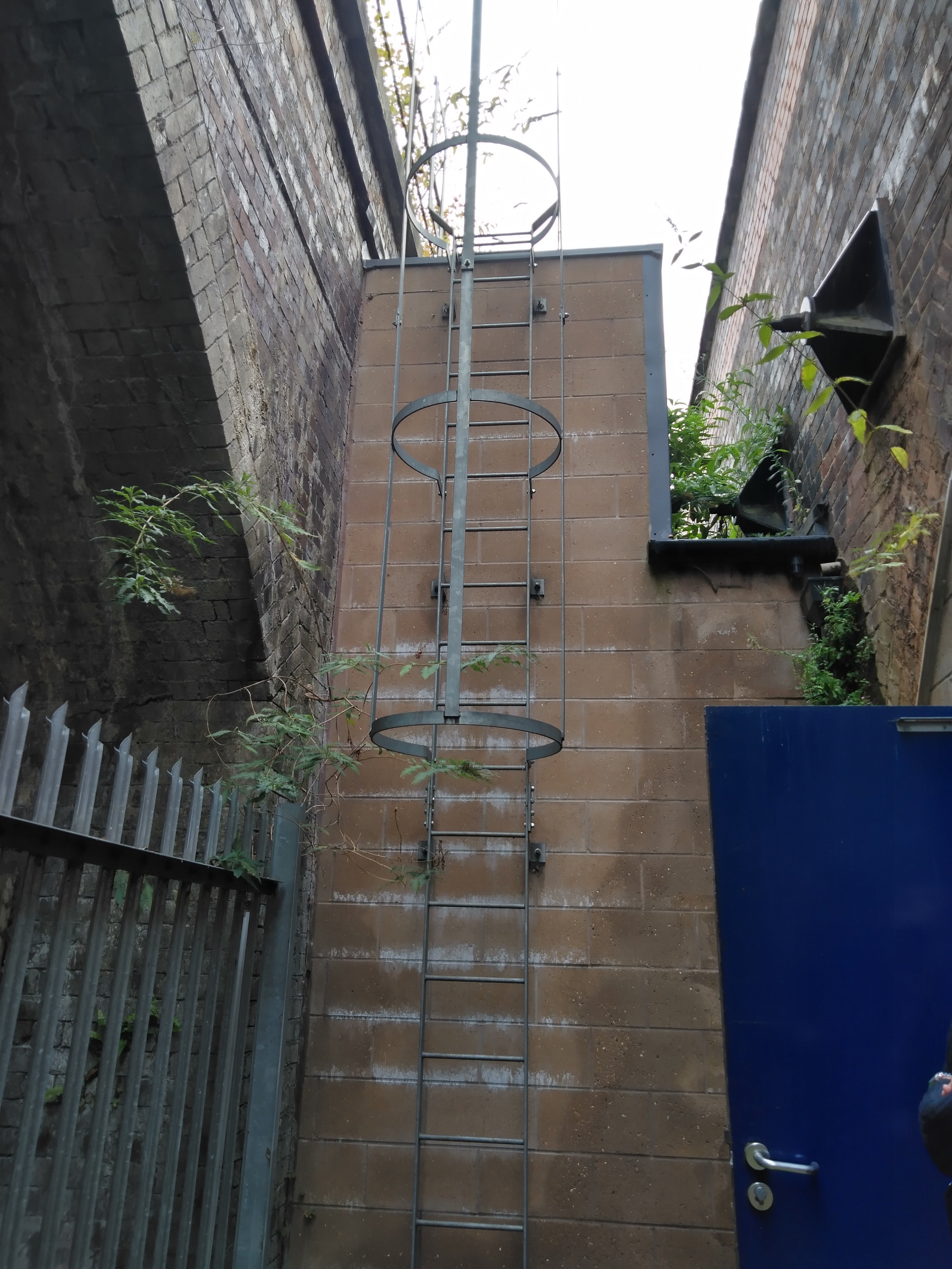 Accessing Leamington High Line campaign photo, 2 of 4
