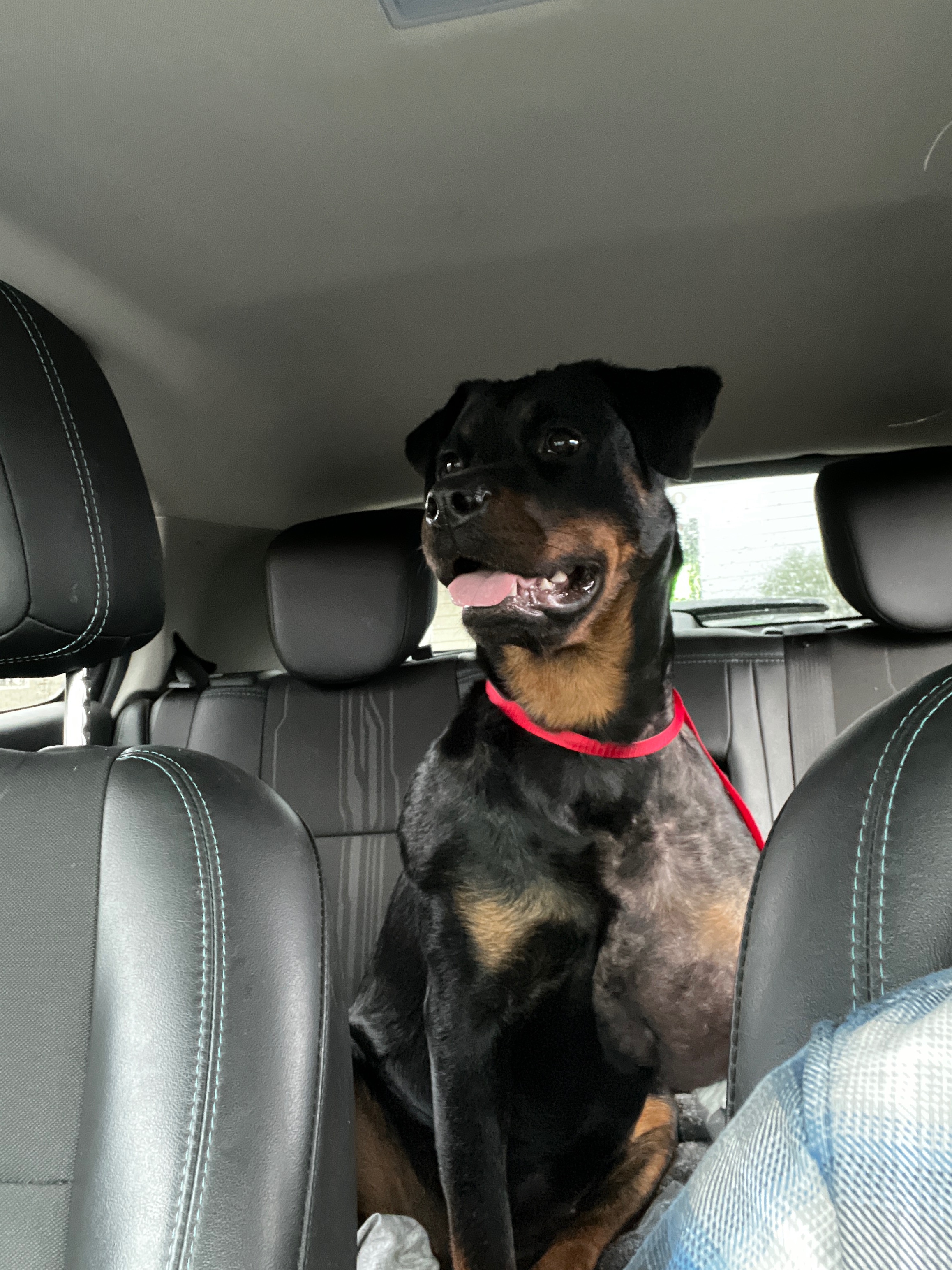 Help Nakita Heal: Surgery & Recovery Fund campaign photo, 7 of 8
