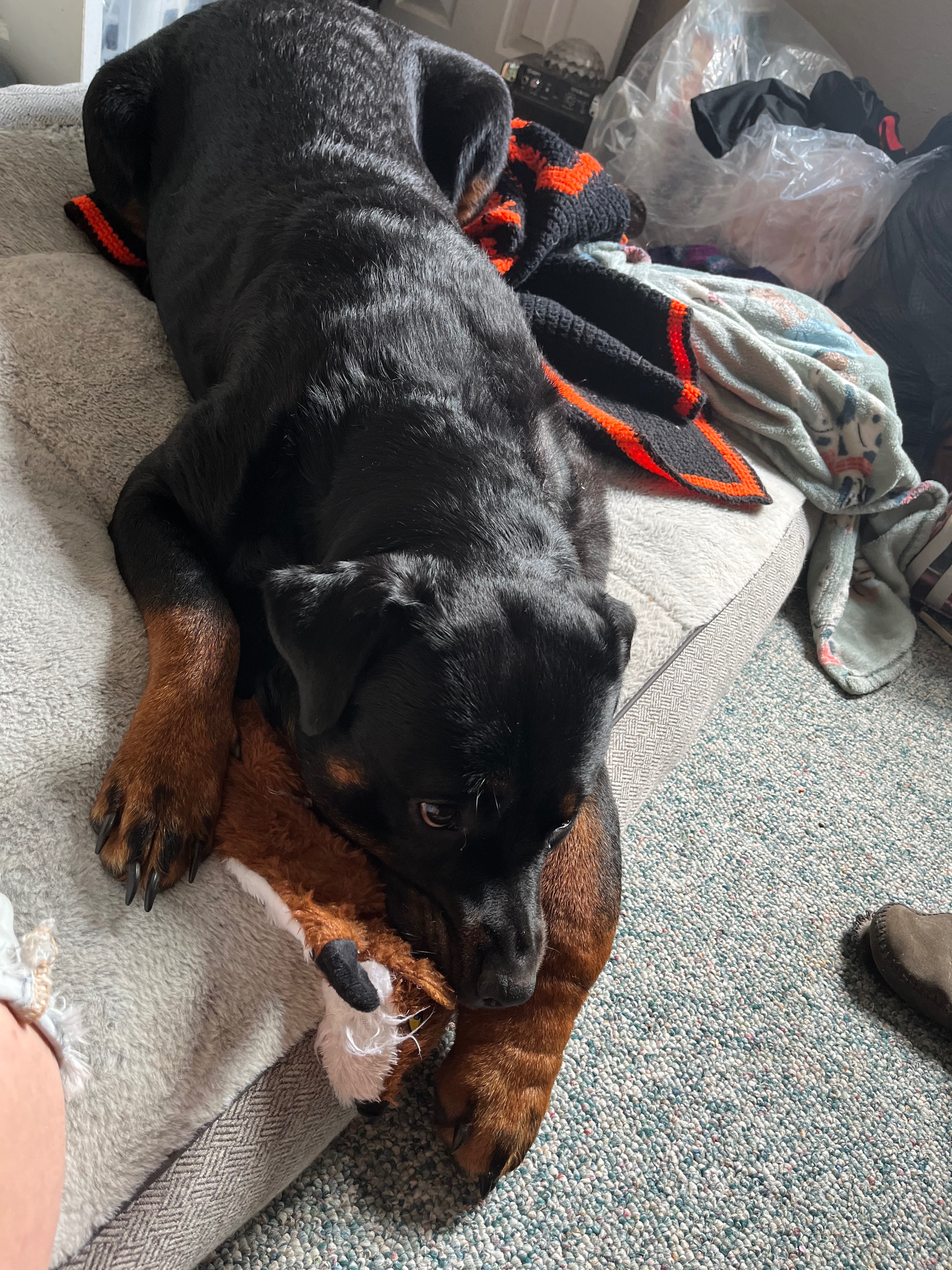 Help Nakita Heal: Surgery & Recovery Fund campaign photo, 6 of 8