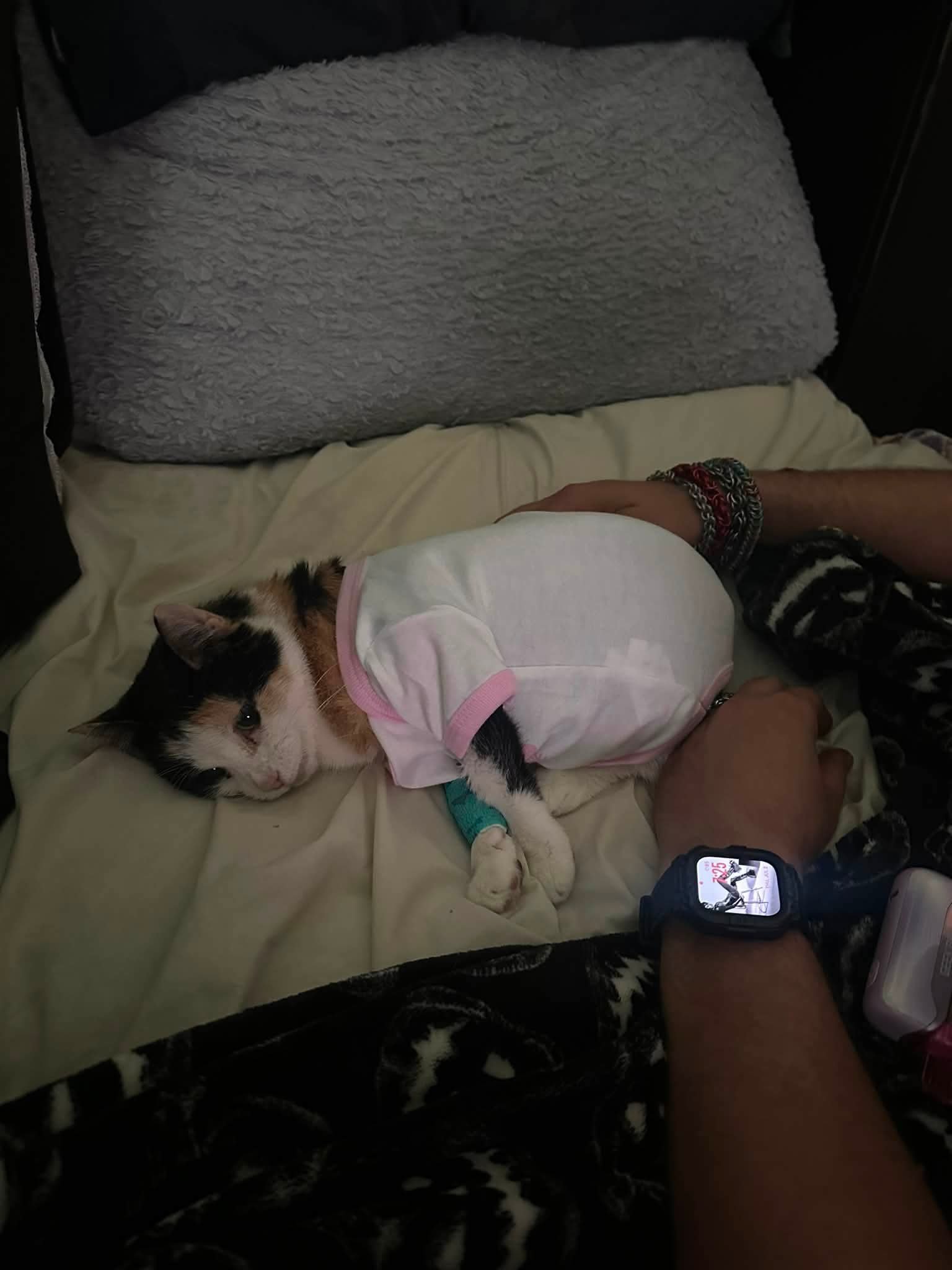 Help Sundae Get the Additional Medical Care She Needs campaign photo, 4 of 5