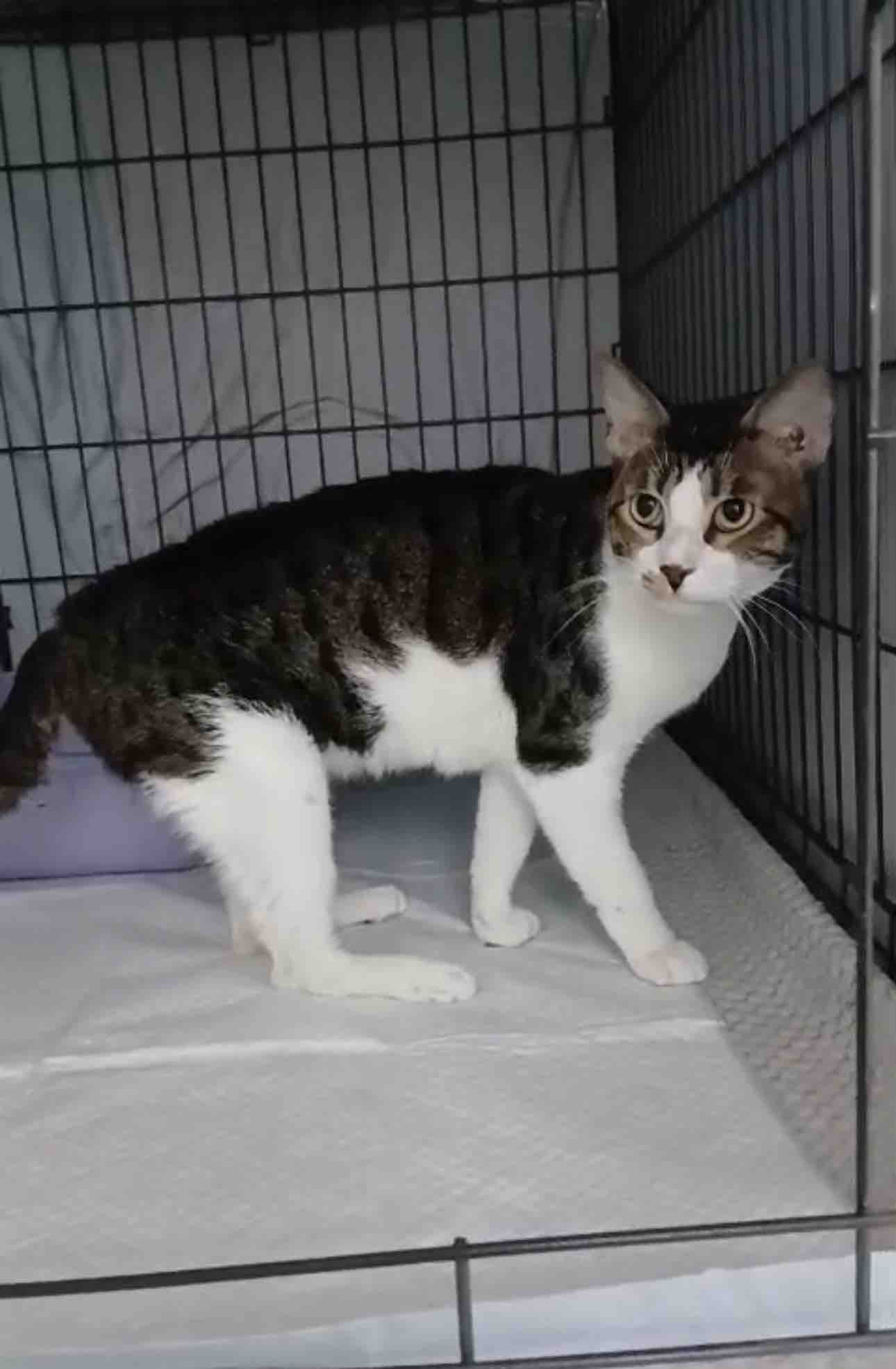 HELP iCARE PAY OVERDUE MEDICAL BILLS campaign photo, 4 of 12