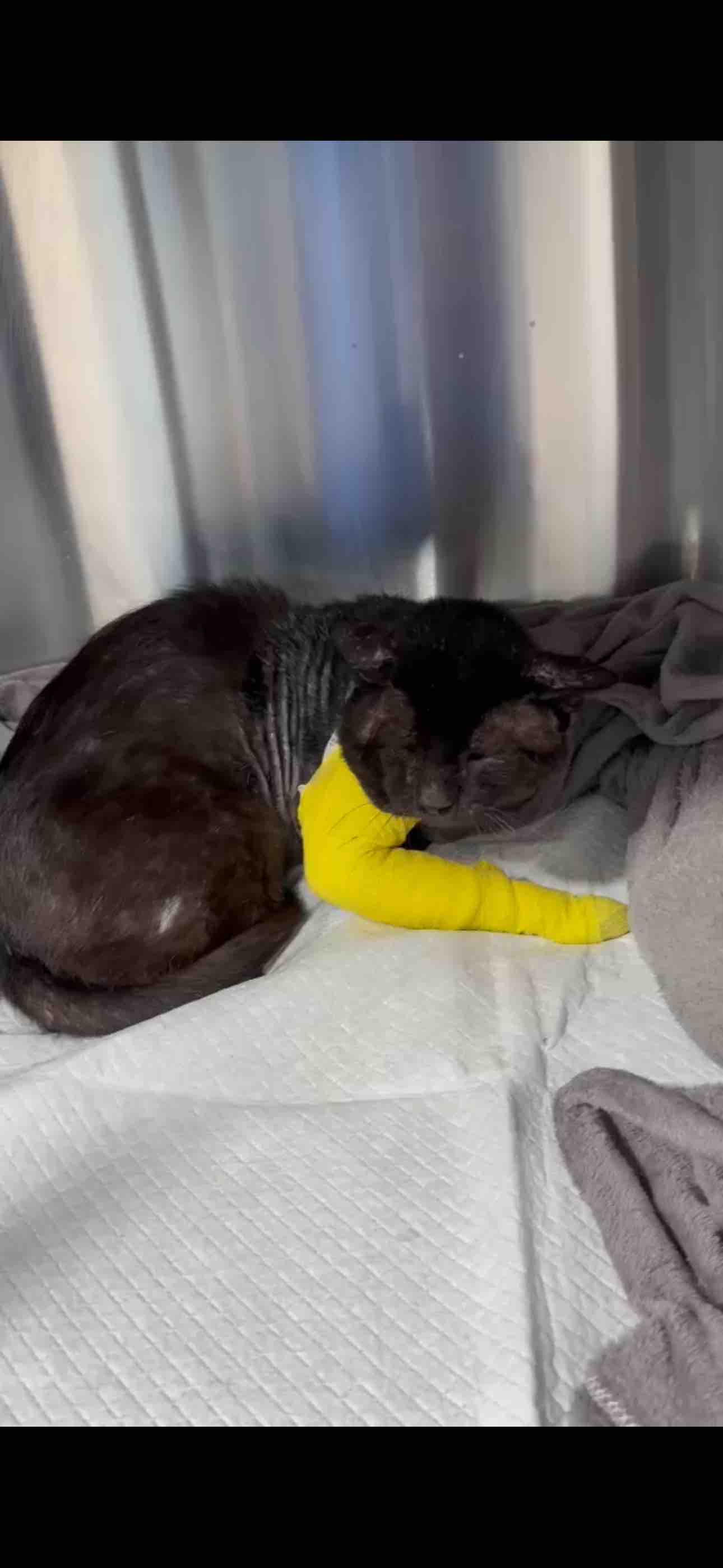 HELP iCARE PAY OVERDUE MEDICAL BILLS campaign photo, 5 of 12