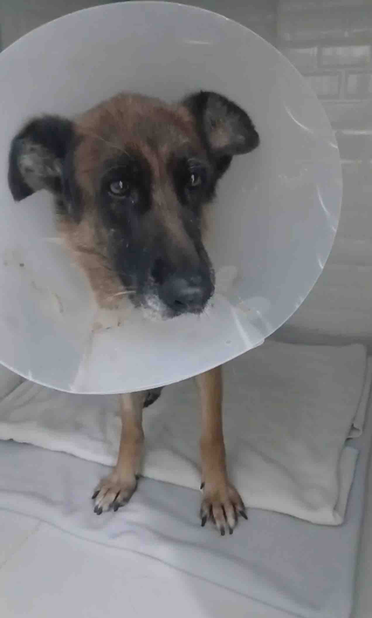 HELP iCARE PAY OVERDUE MEDICAL BILLS campaign photo, 7 of 12