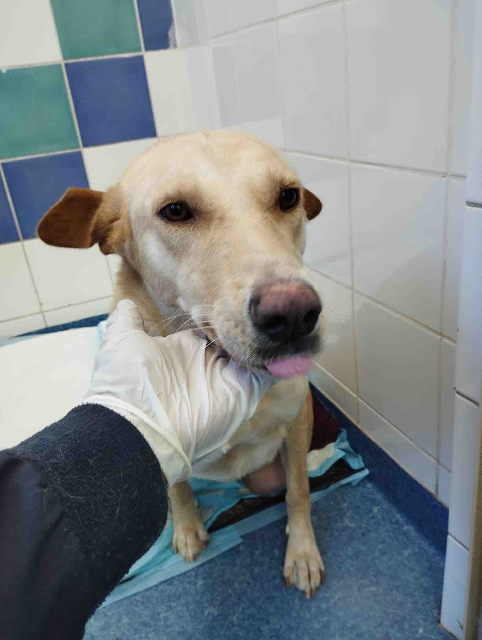 HELP iCARE PAY OVERDUE MEDICAL BILLS campaign photo, 10 of 12