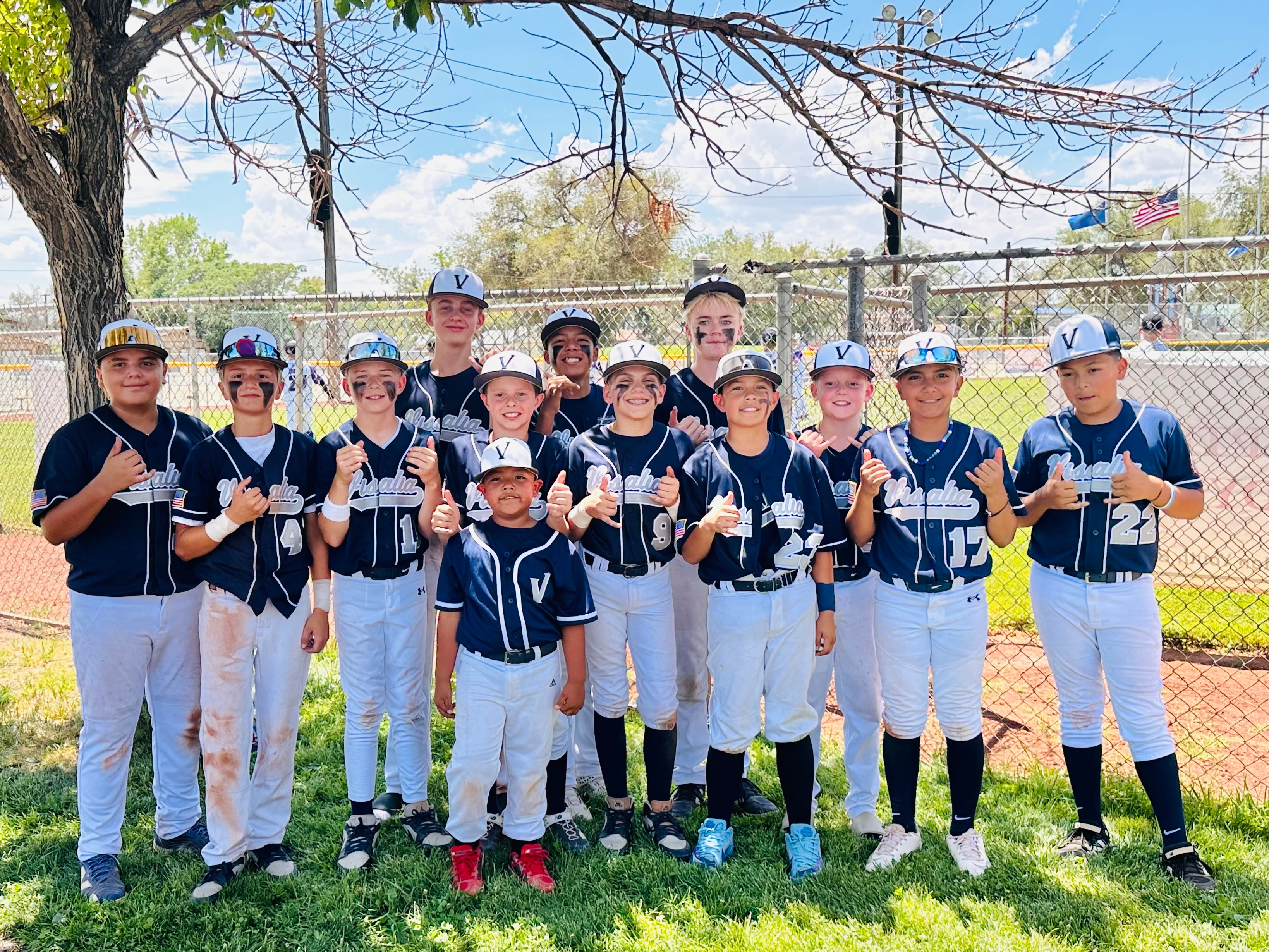 Help 11U Visalia Blue Team Get to the World Series campaign photo, 2 of 7