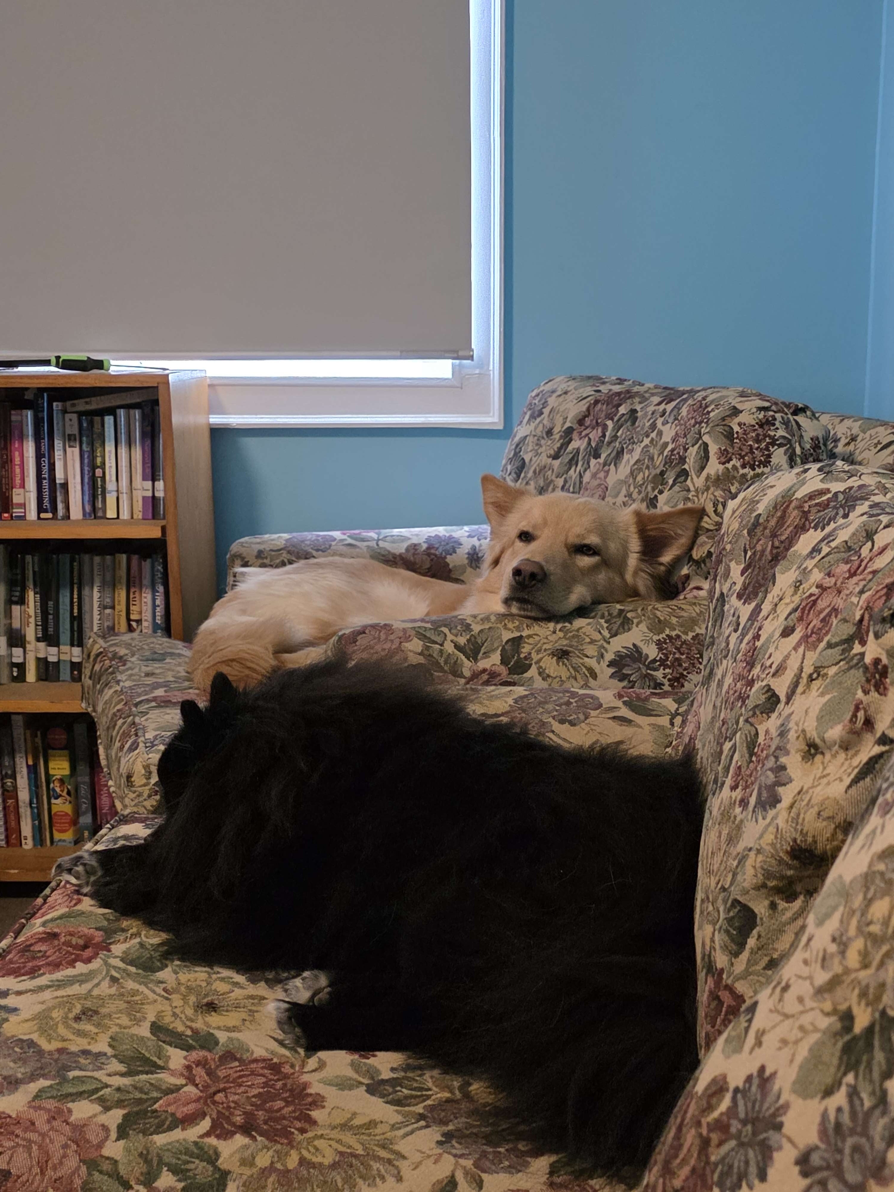 Help Jinny's Family Keep Their Home campaign photo, 2 of 4