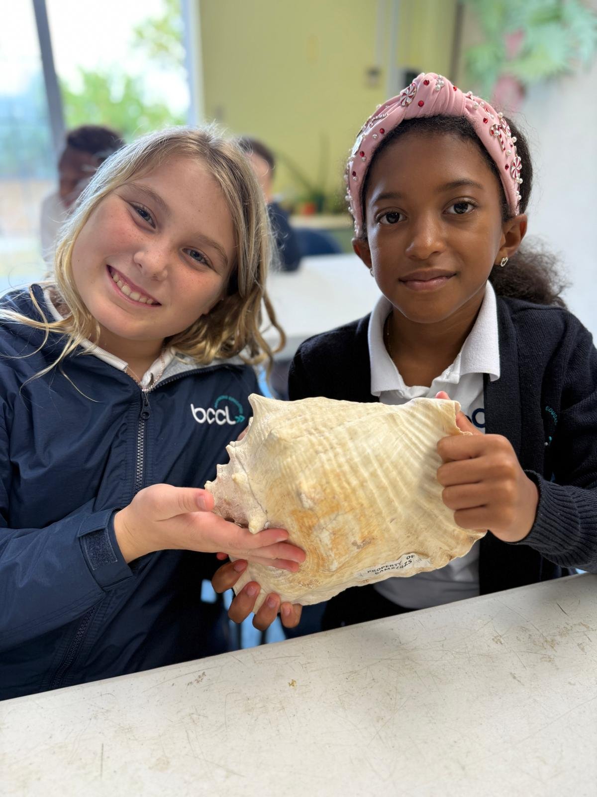 GDB Cup Match 2026:- Bermuda Centre For Creative Learning campaign photo, 2 of 7