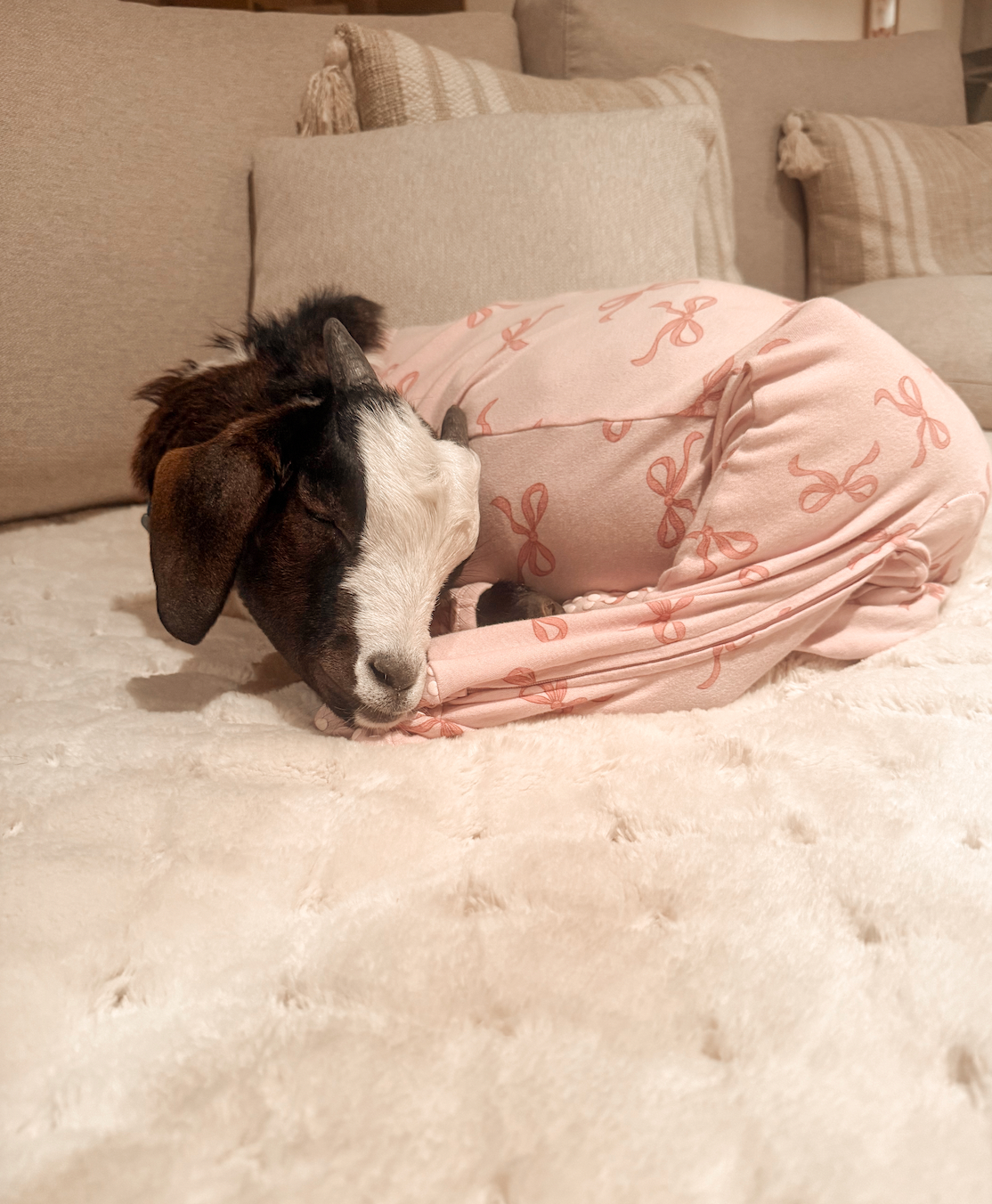 Emergency Surgery Needed to Save Billy’s Life campaign photo, 5 of 8