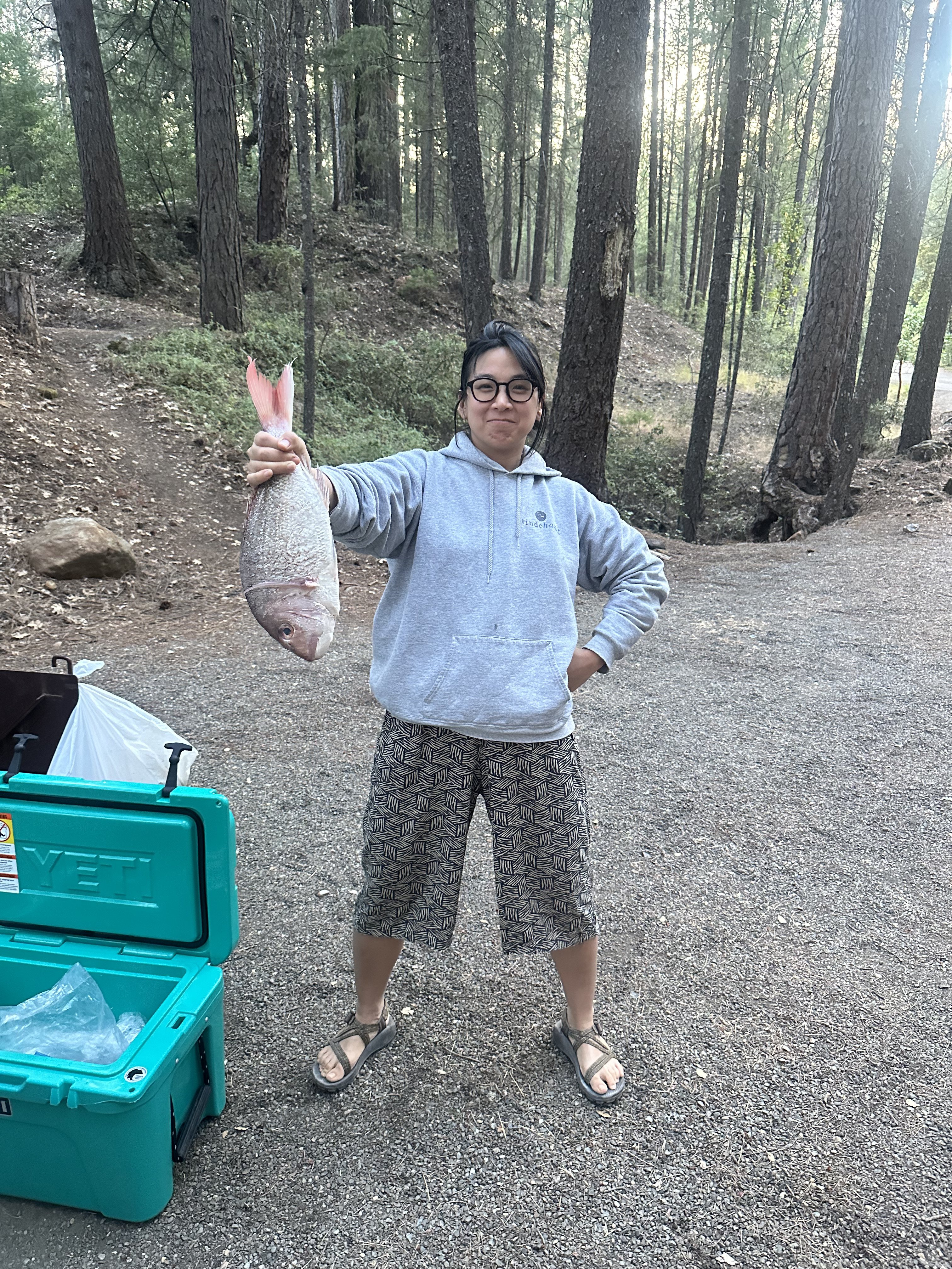 Help Akari Recover from Long COVID campaign photo, 4 of 8