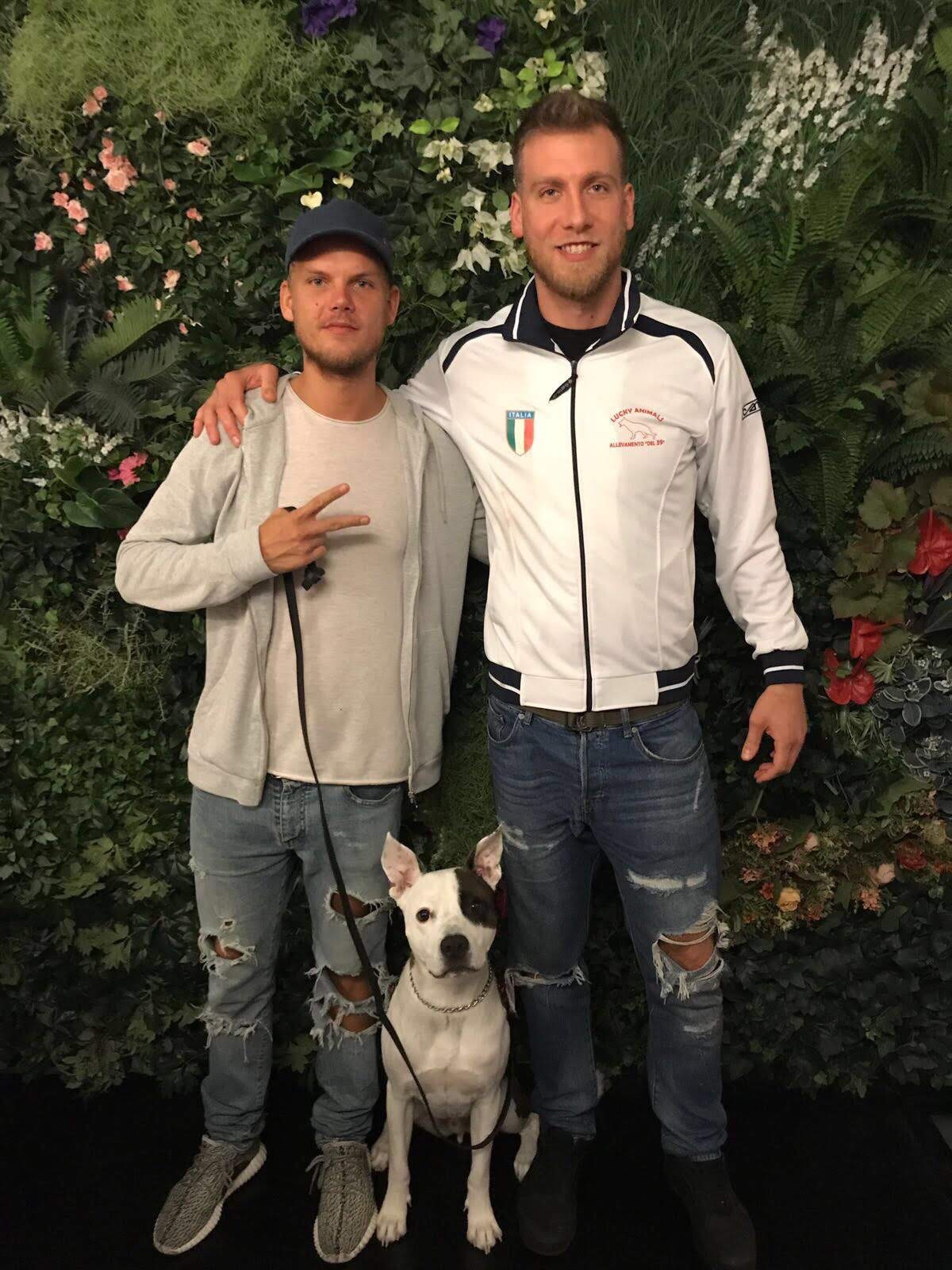 Saving Aviciis dog from cancer campaign photo, 4 of 8