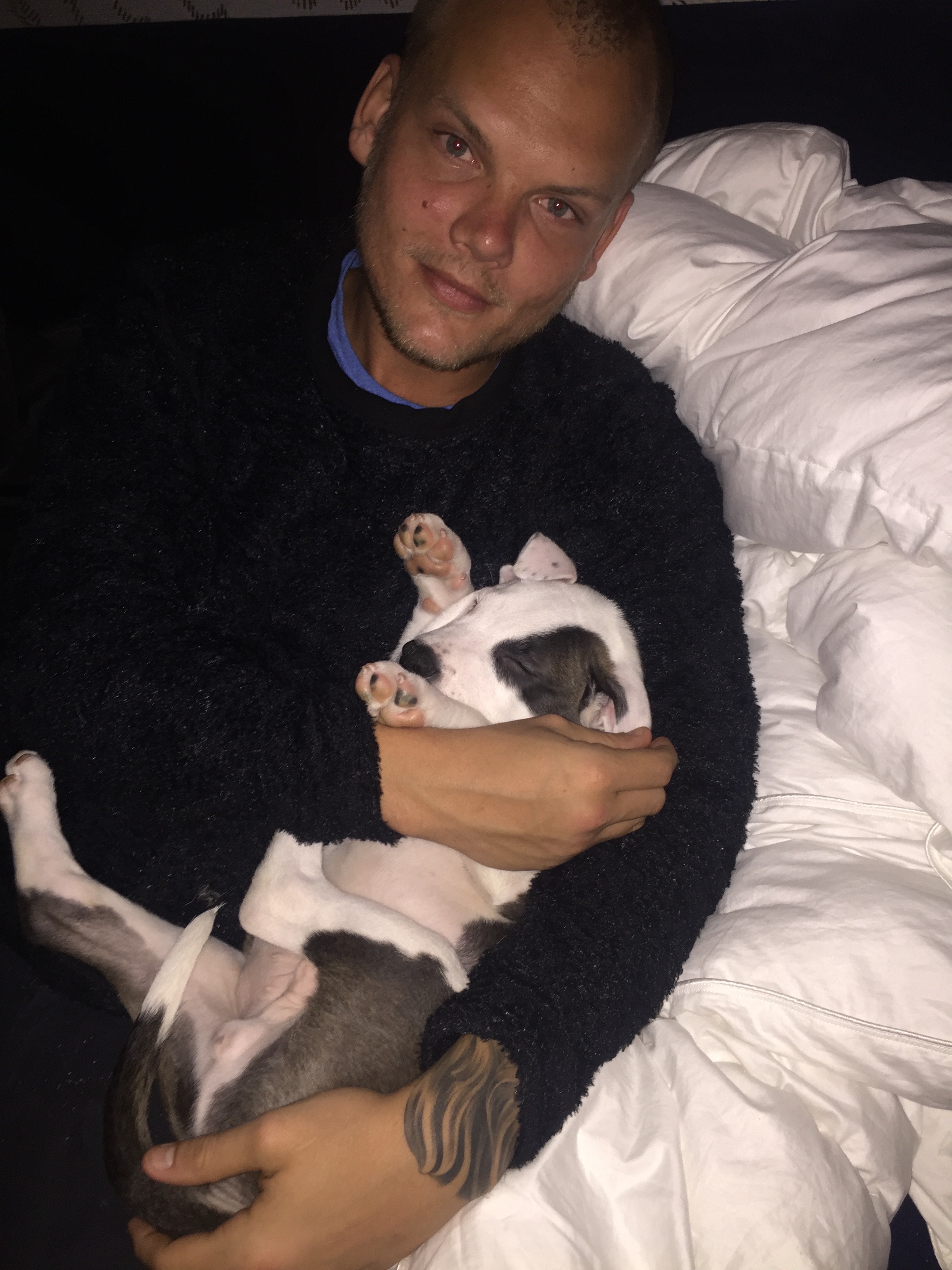 Saving Aviciis dog from cancer campaign photo, 5 of 8