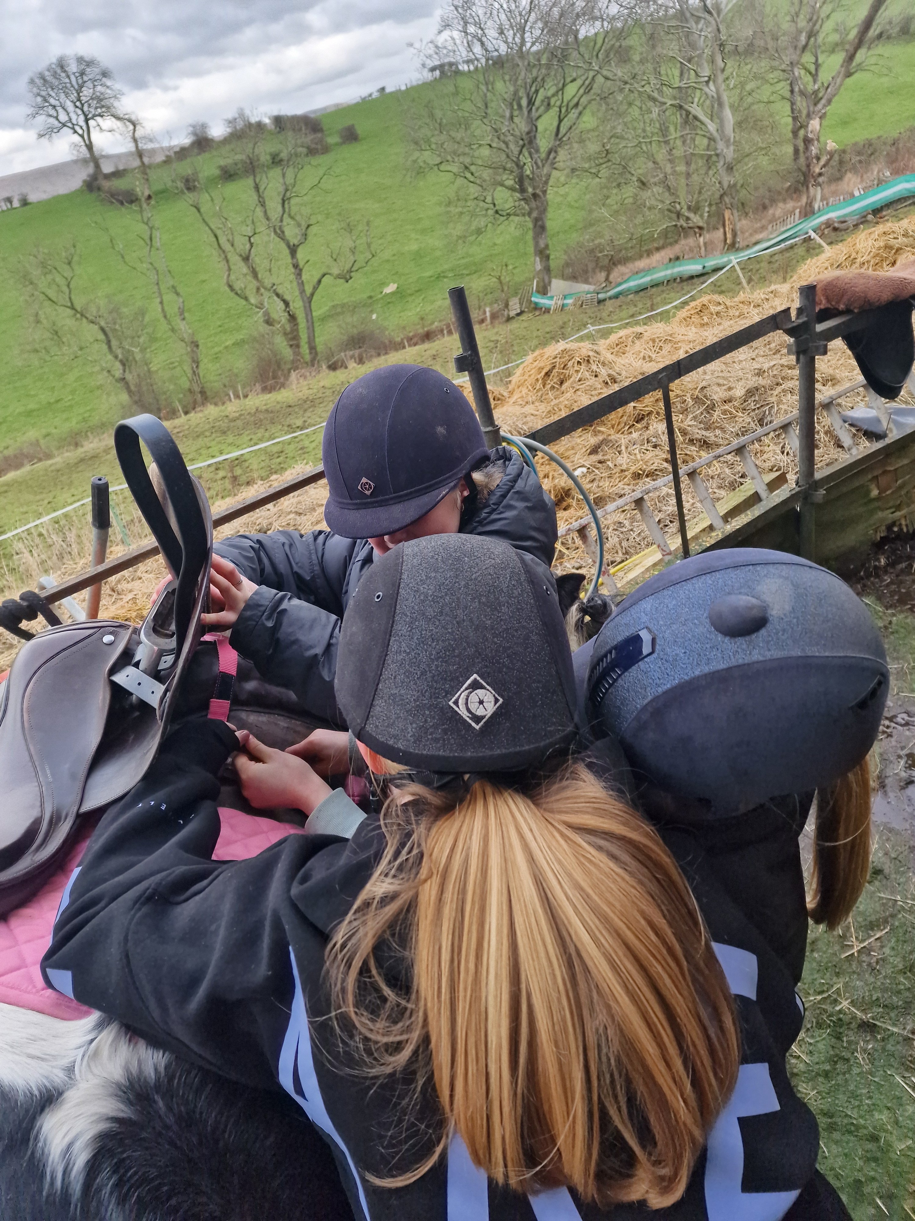 AJ EQUESTRIAN SCHOOL OF DRIVING campaign photo, 5 of 7
