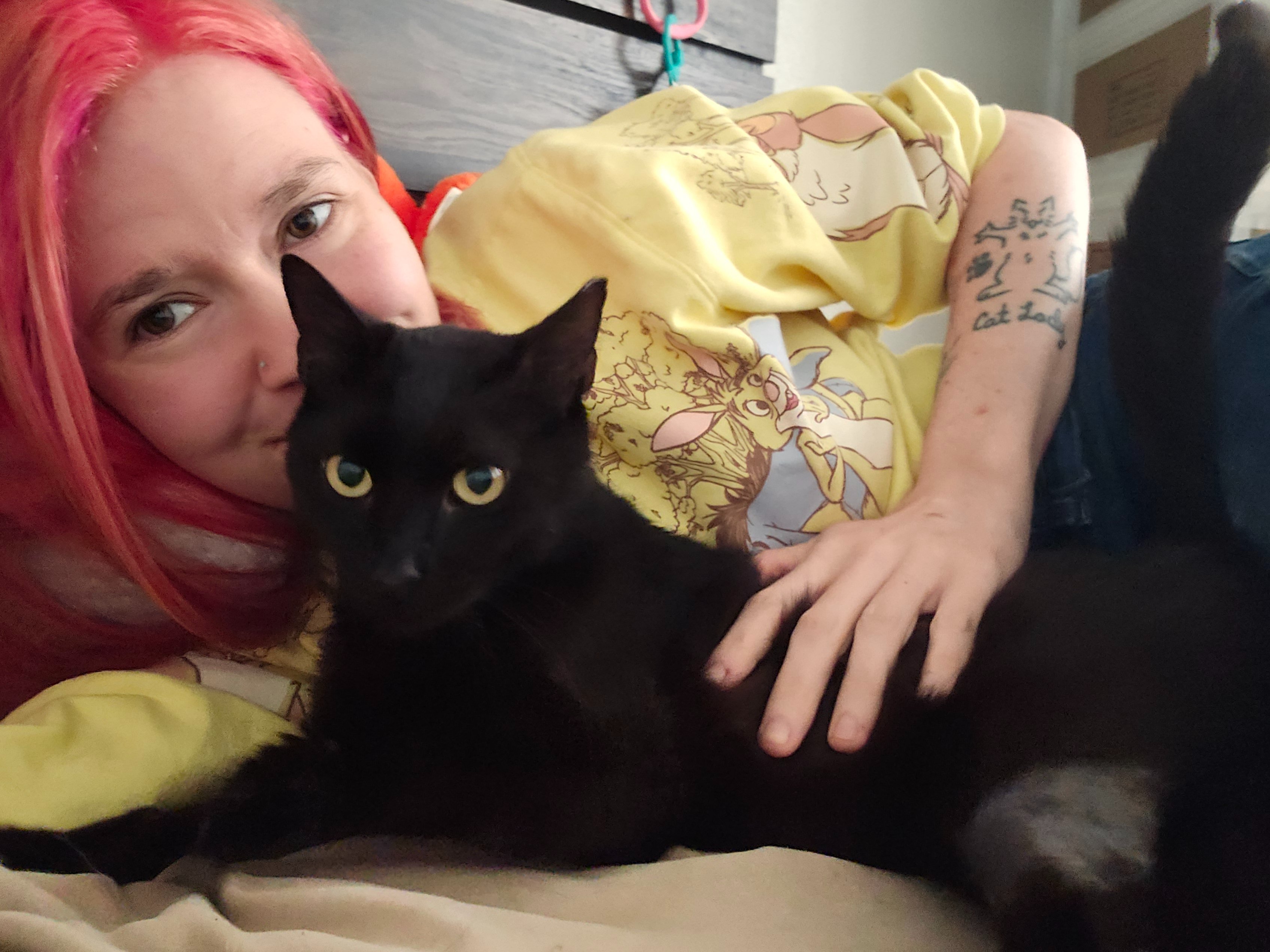 Help My Kitty Get Urgent Dental Care campaign photo, 4 of 7