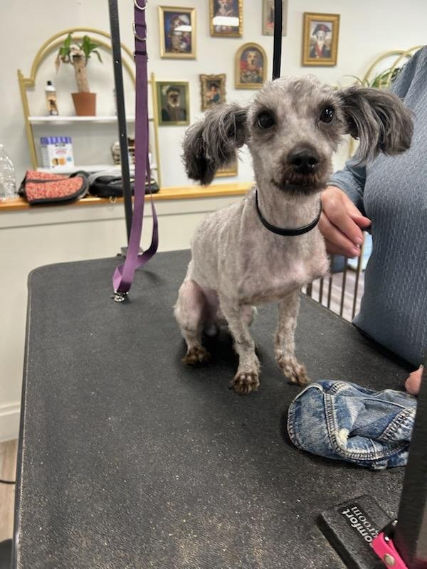 Help Brock Get the Surgery He Desperately Needs campaign photo, 5 of 7