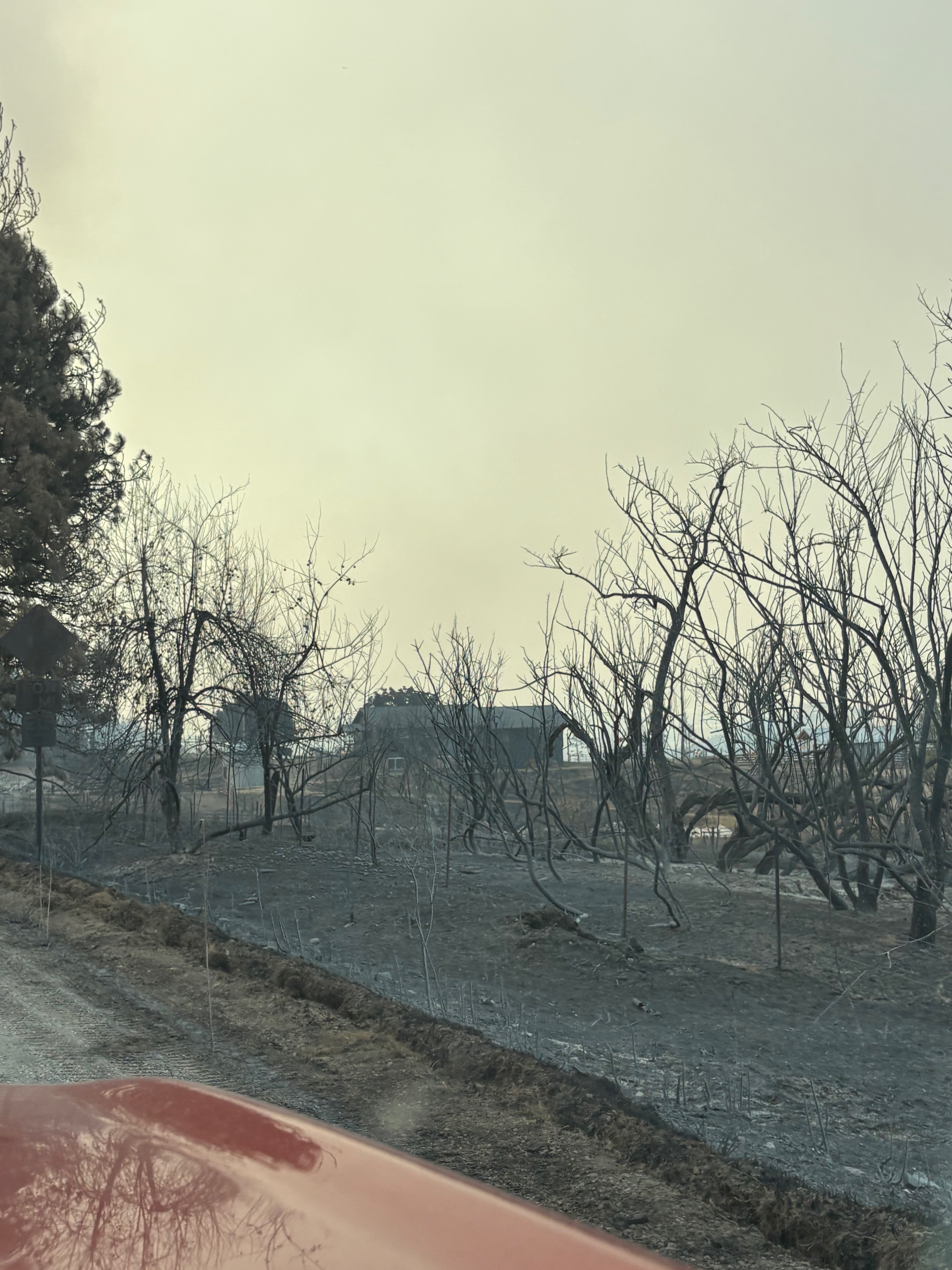 Help Rizn Ranch Rebuild After the Modrite Fire campaign photo, 5 of 8