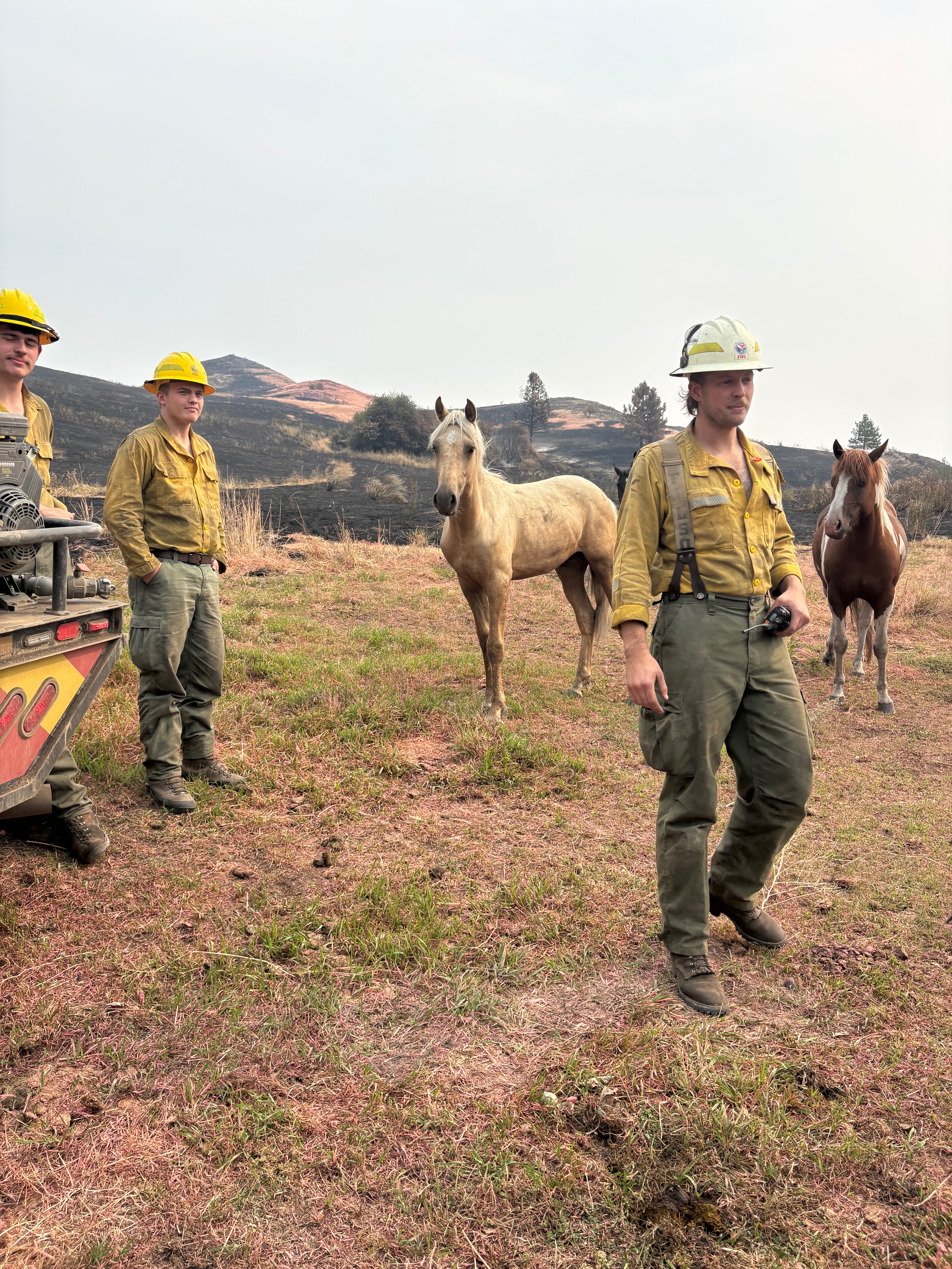 Help Rizn Ranch Rebuild After the Modrite Fire campaign photo, 6 of 8