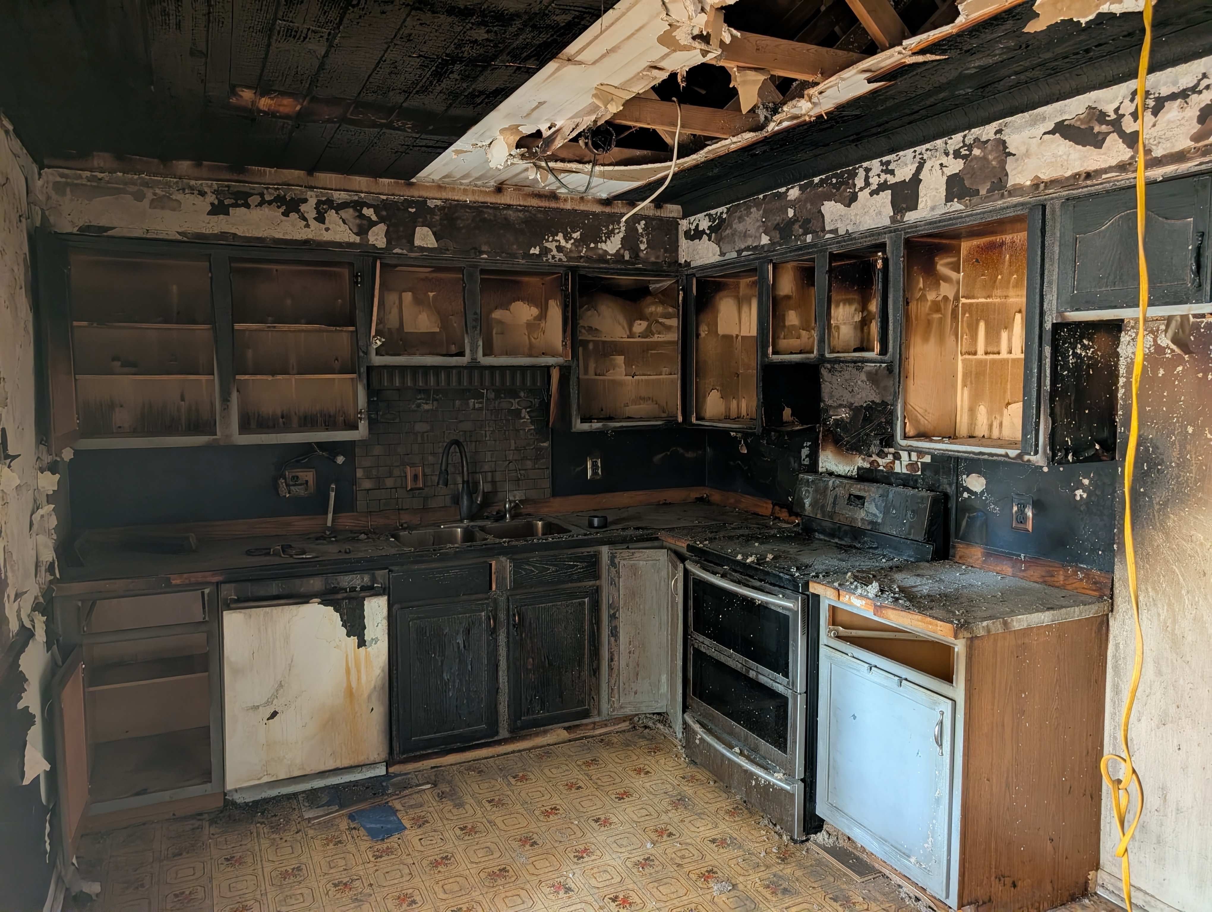 Support Ronna and Her Pets After the Fire campaign photo, 2 of 4