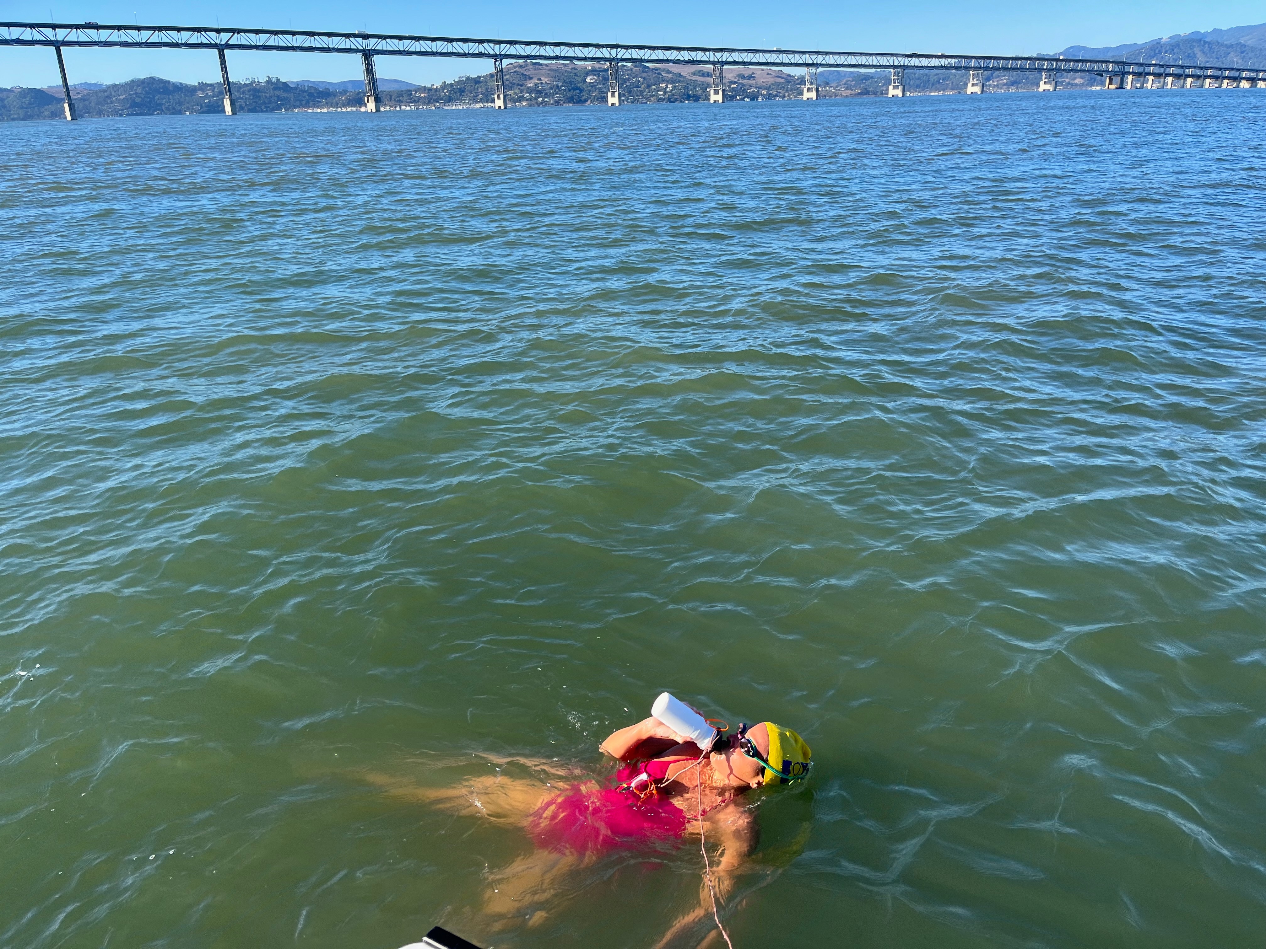 Help Support Laura's English Channel Swim campaign photo, 4 of 7