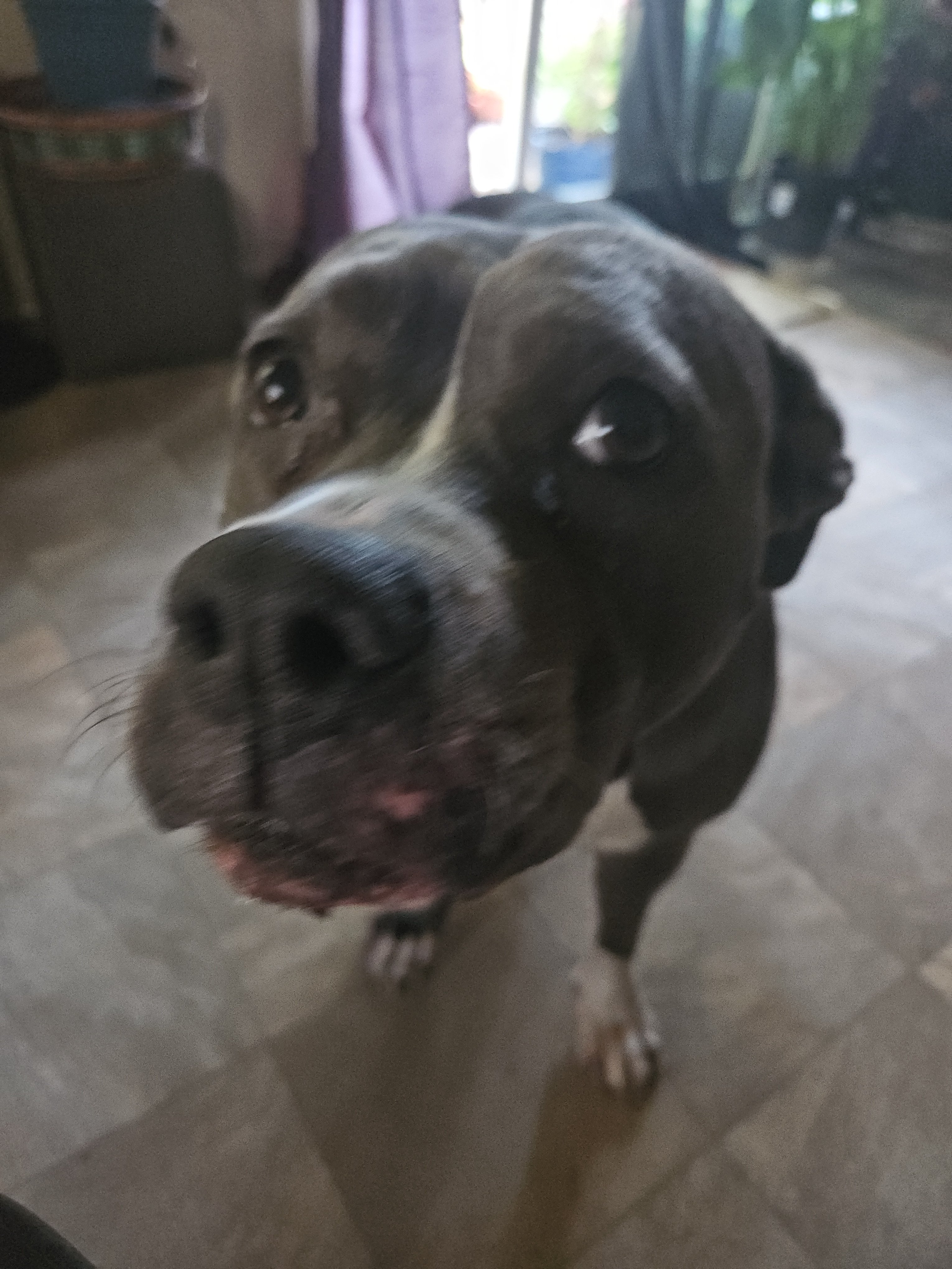 Help Baby Recover from Rattlesnake Bite campaign photo, 6 of 6