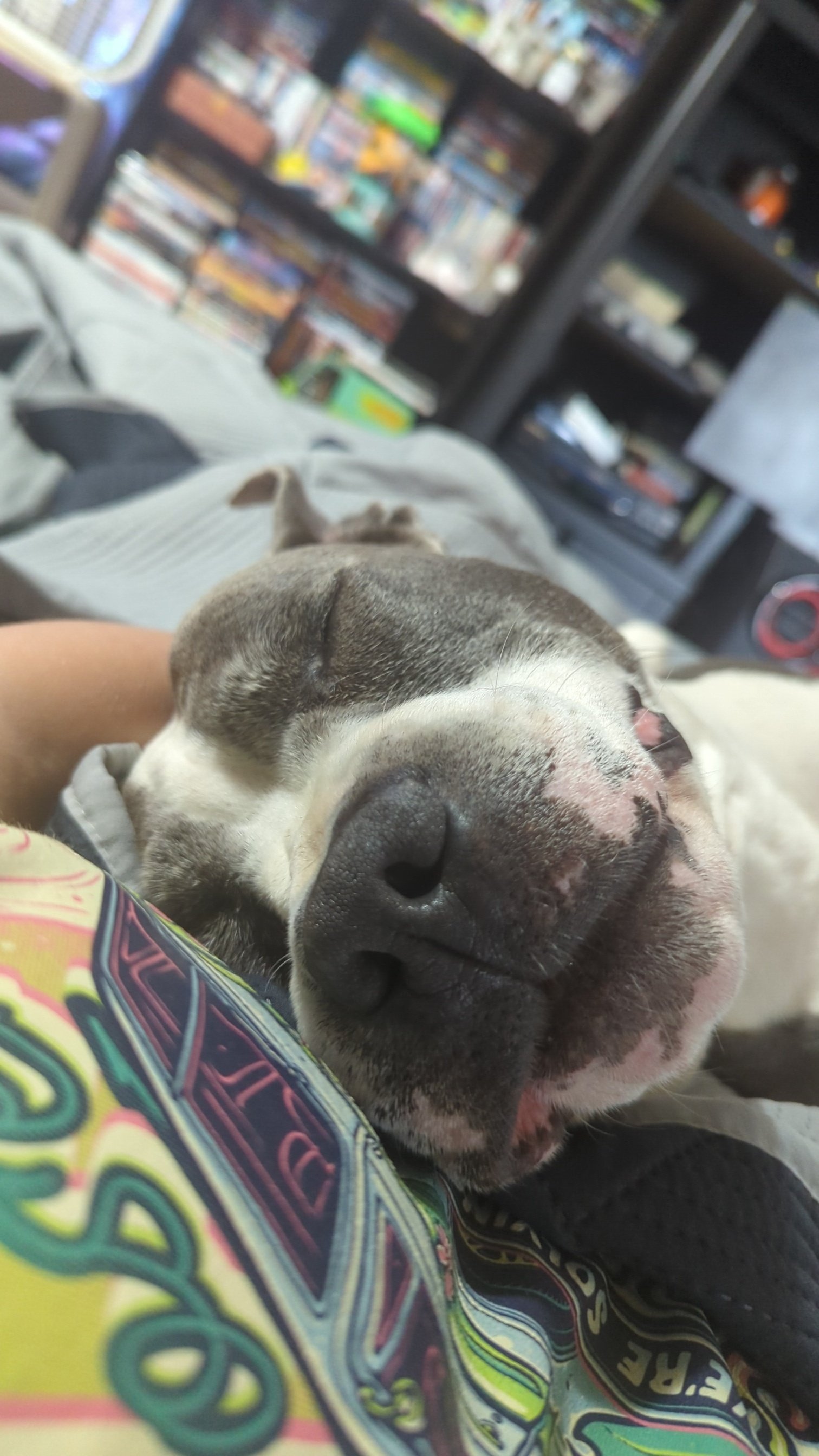 Smokey’s Road to Recovery campaign photo, 4 of 8