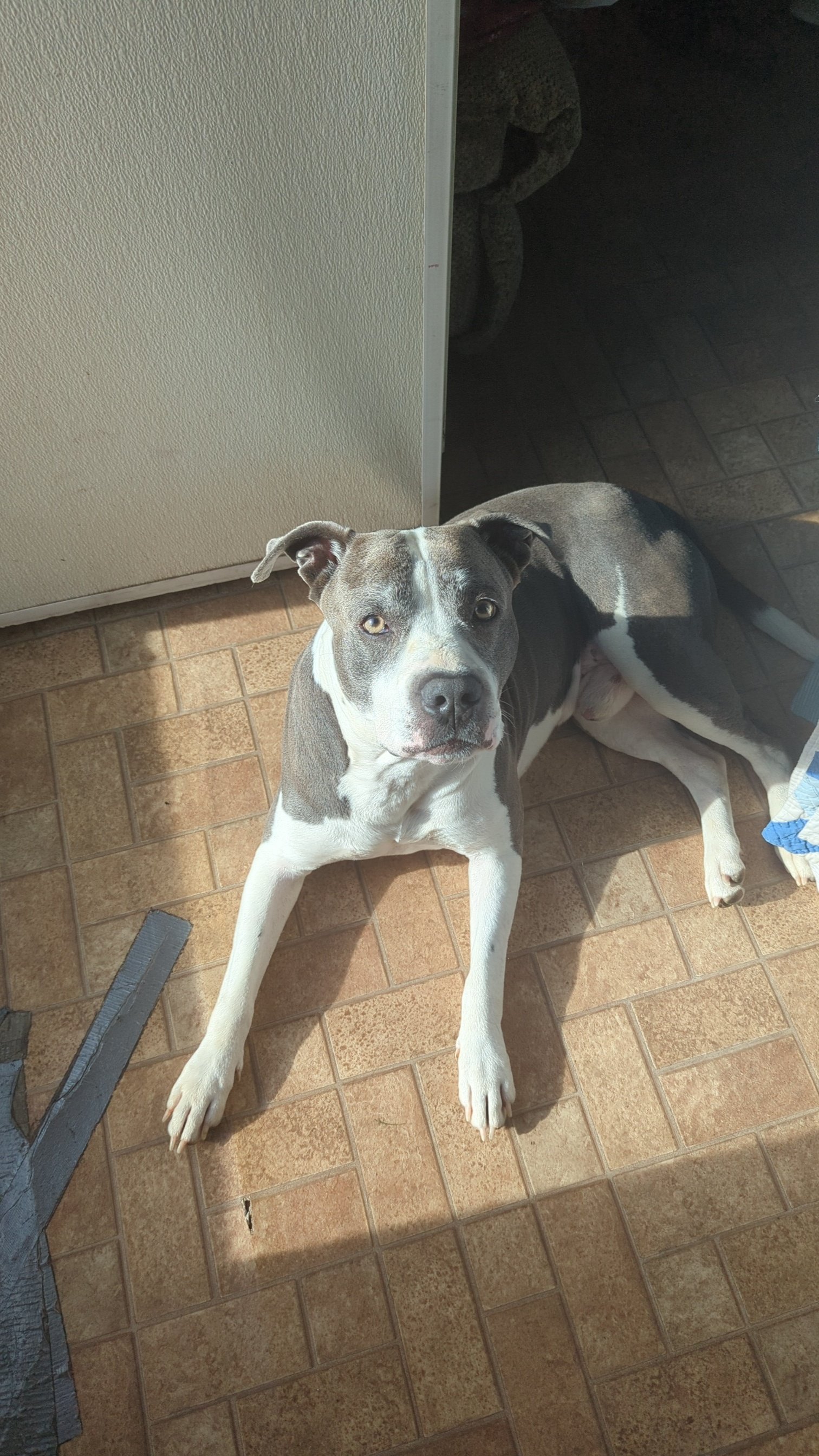 Smokey’s Road to Recovery campaign photo, 5 of 8