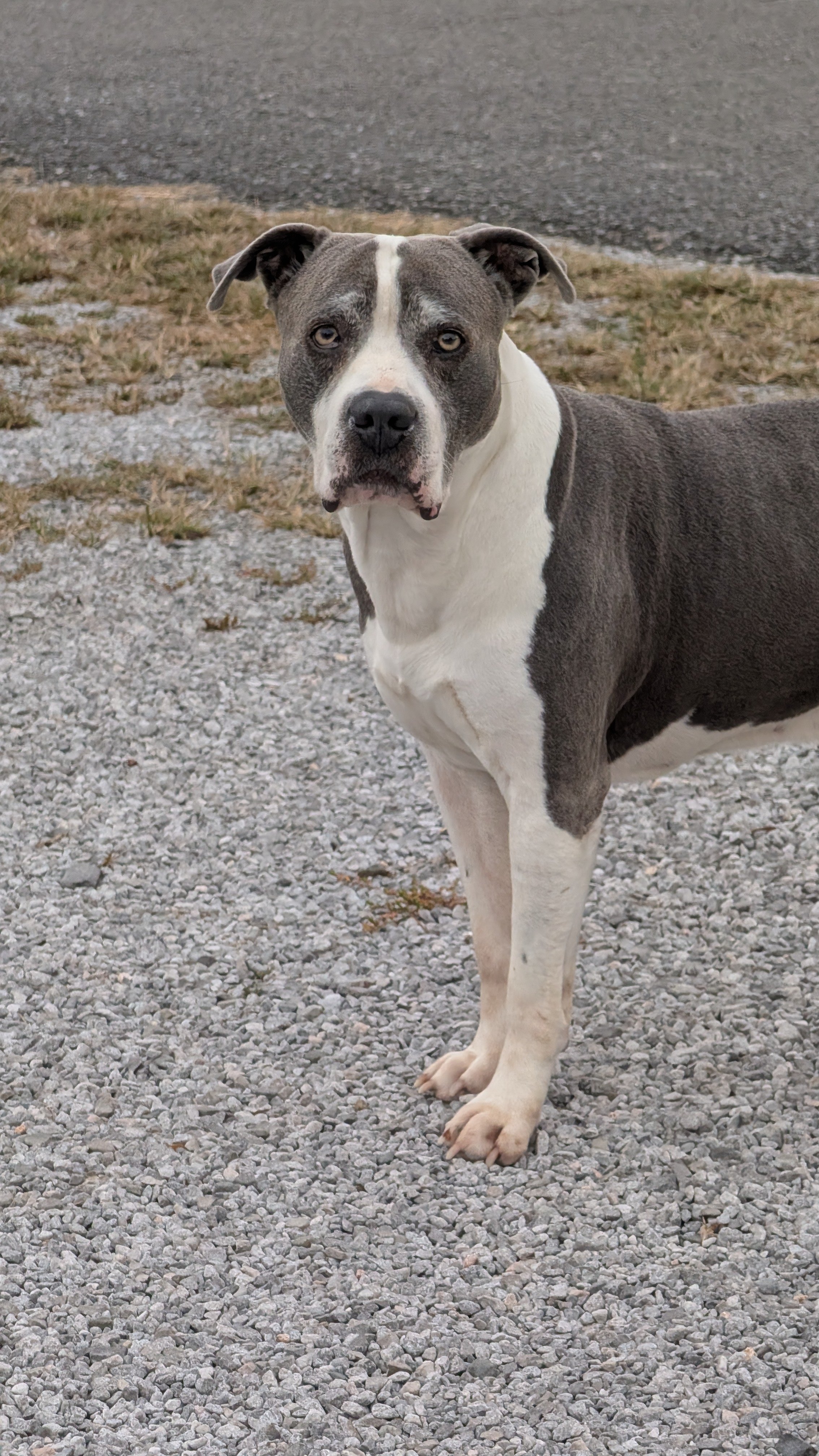 Smokey’s Road to Recovery campaign photo, 6 of 8