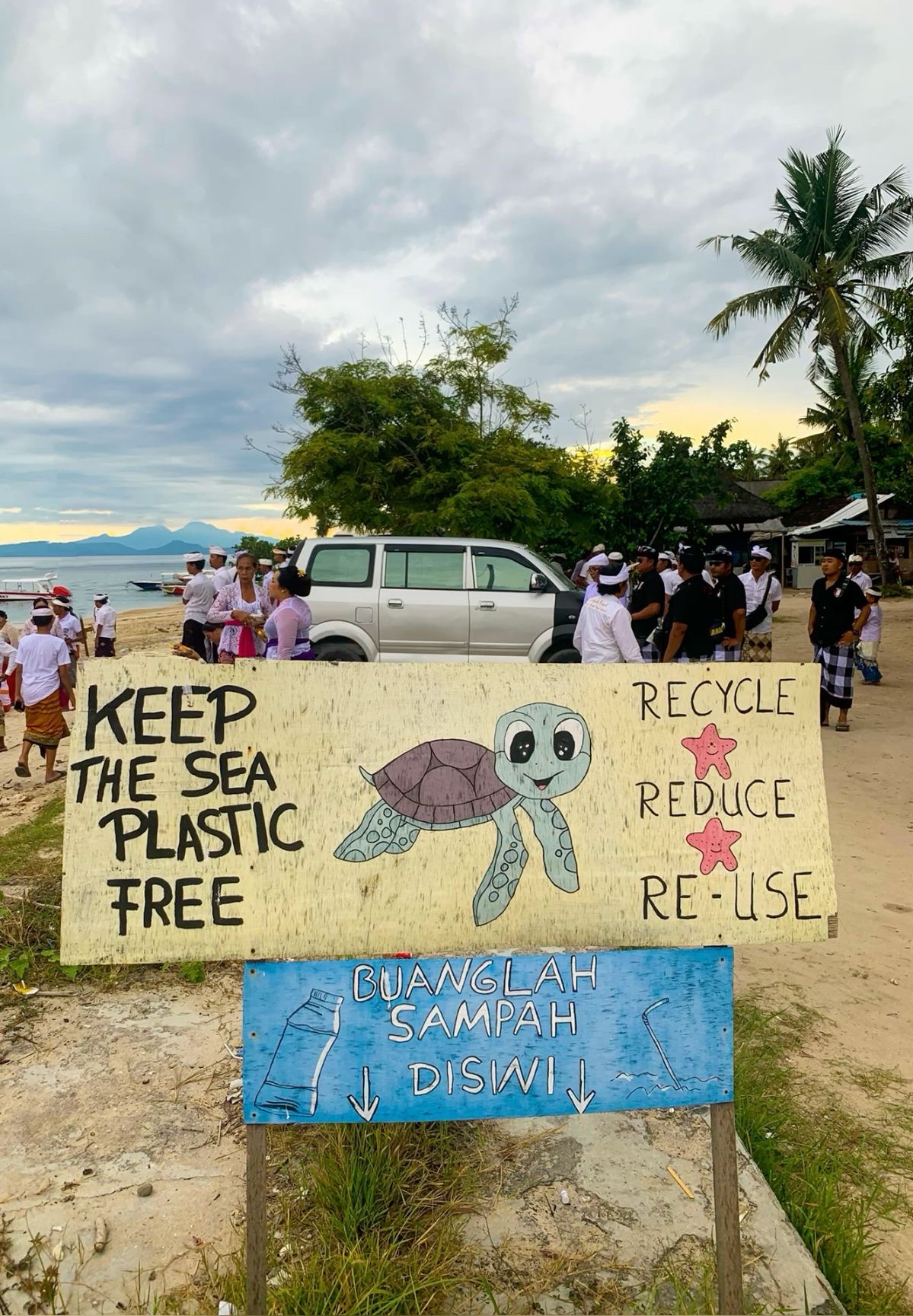 Support Our Sea Turtle Conservation Journey campaign photo, 4 of 9